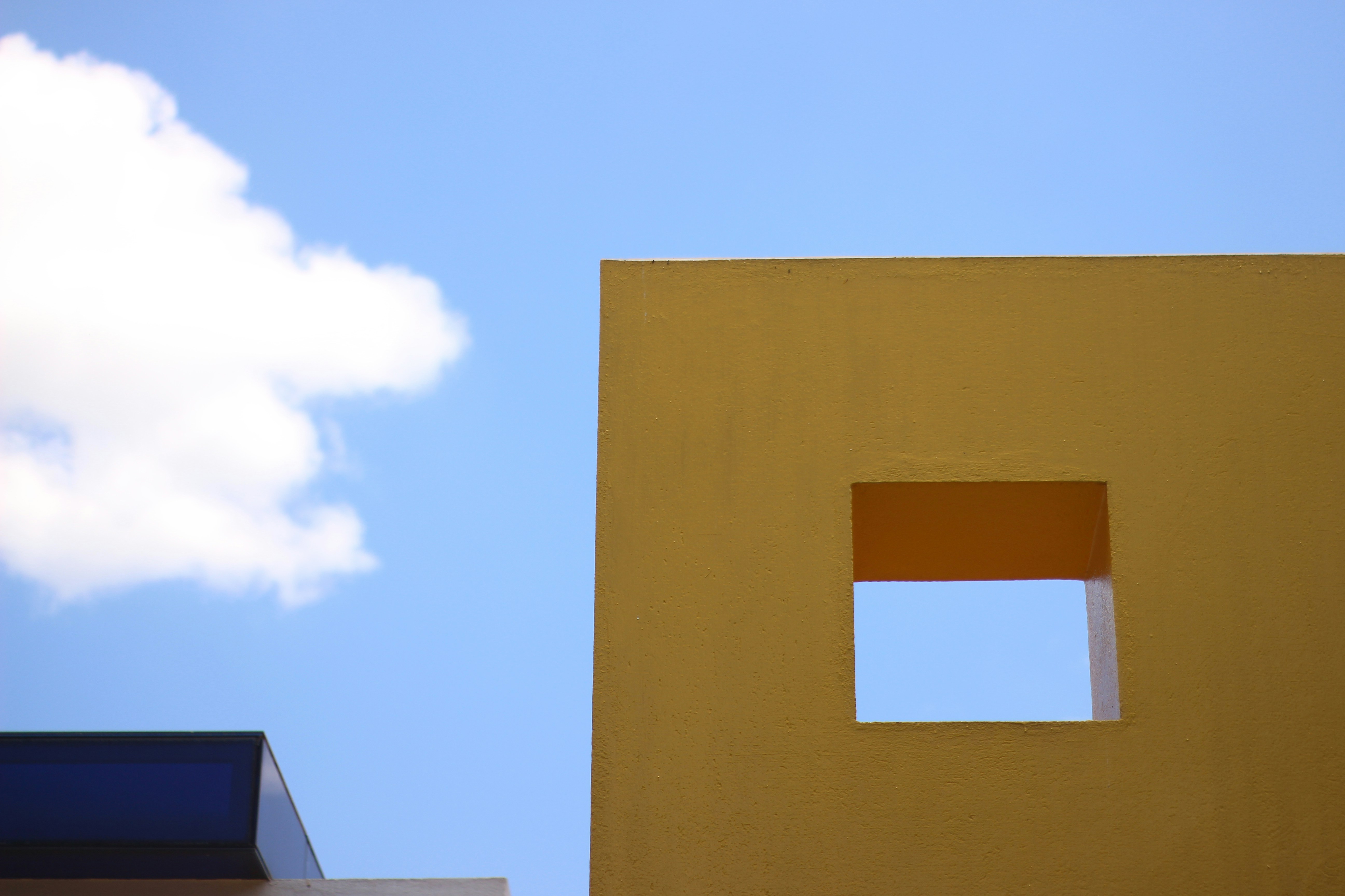 Photo by otaciliomaia