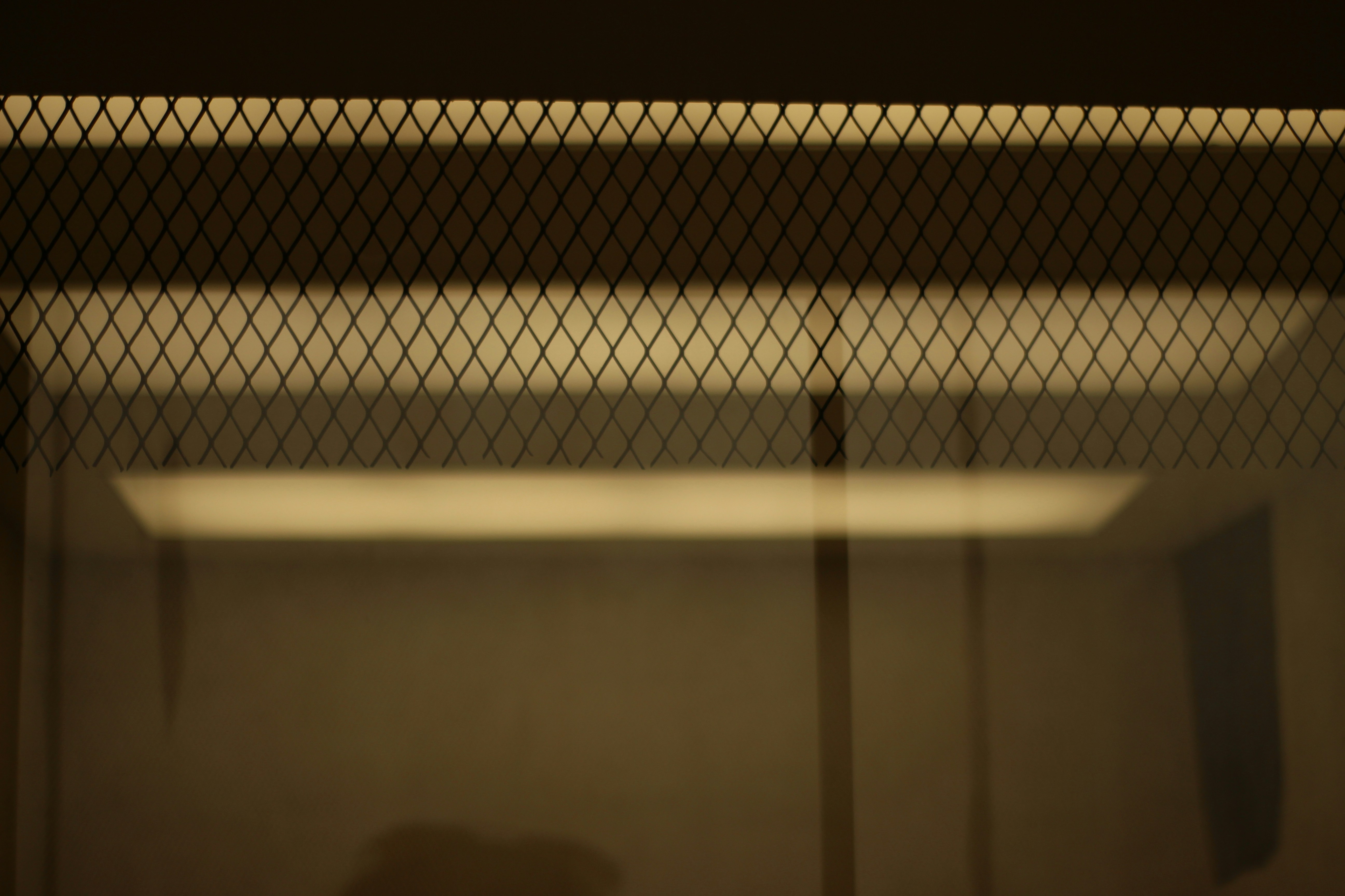 Photo by otaciliomaia