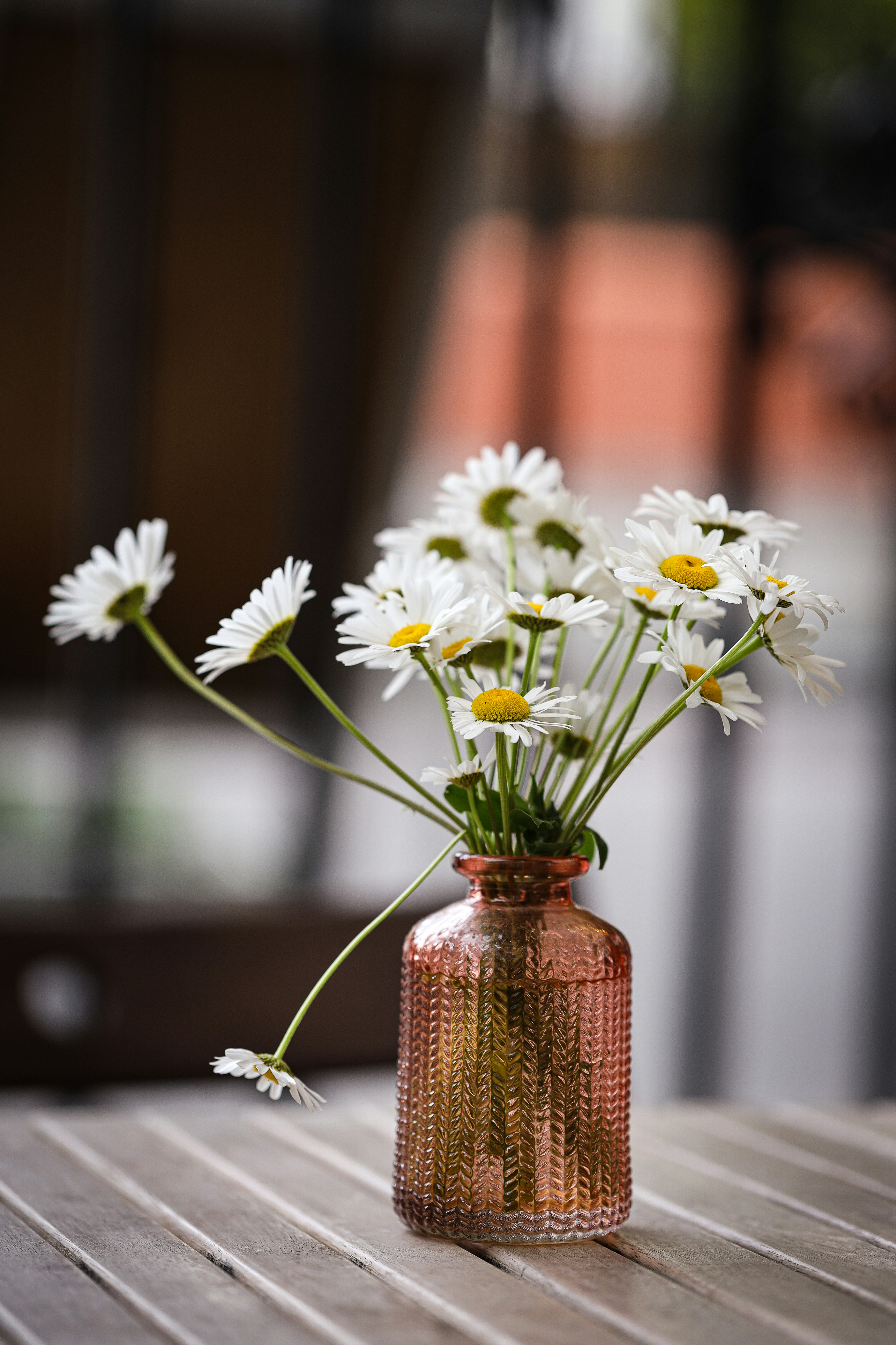 Photo by anastasia_clark