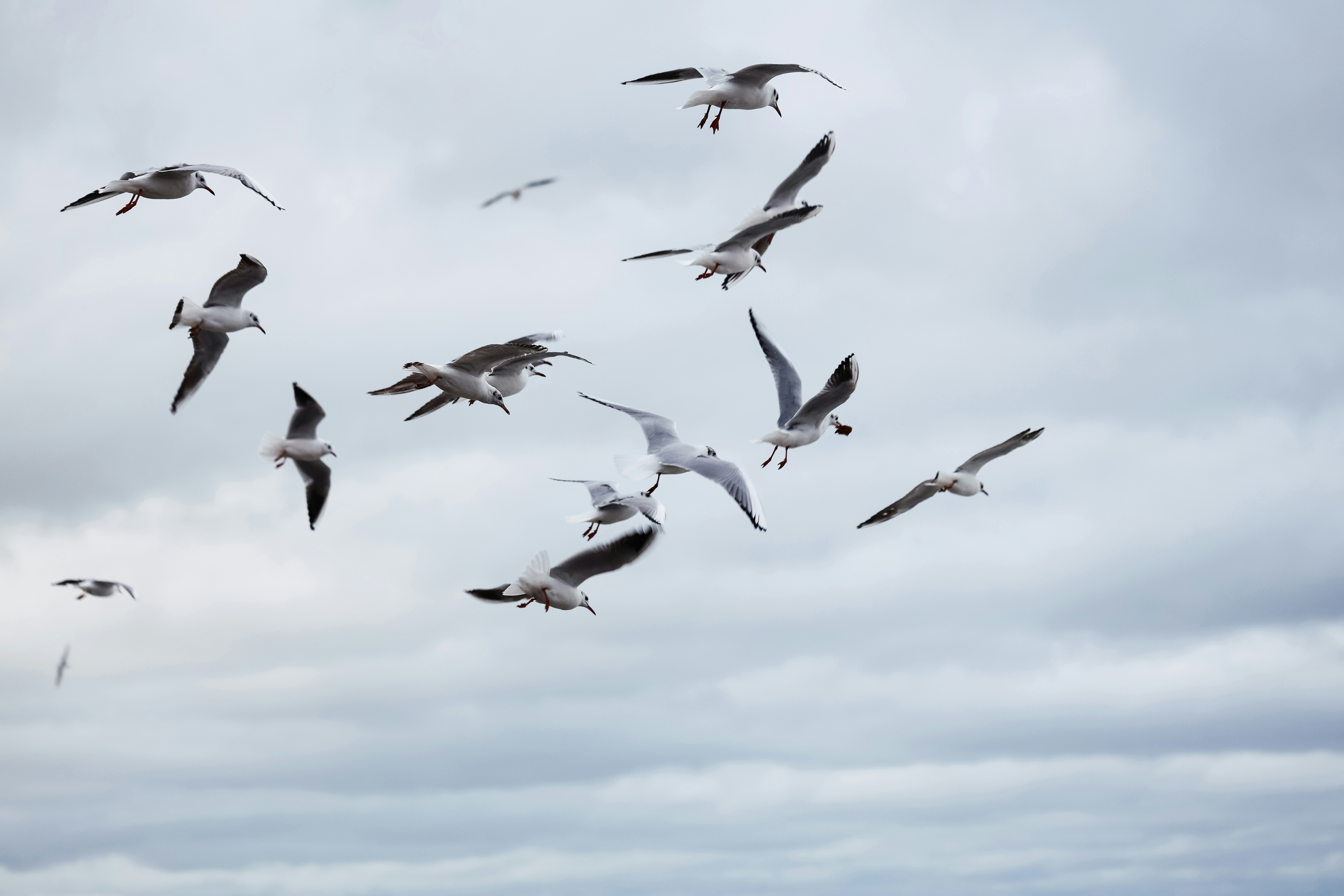 Photo by anastasia_clark