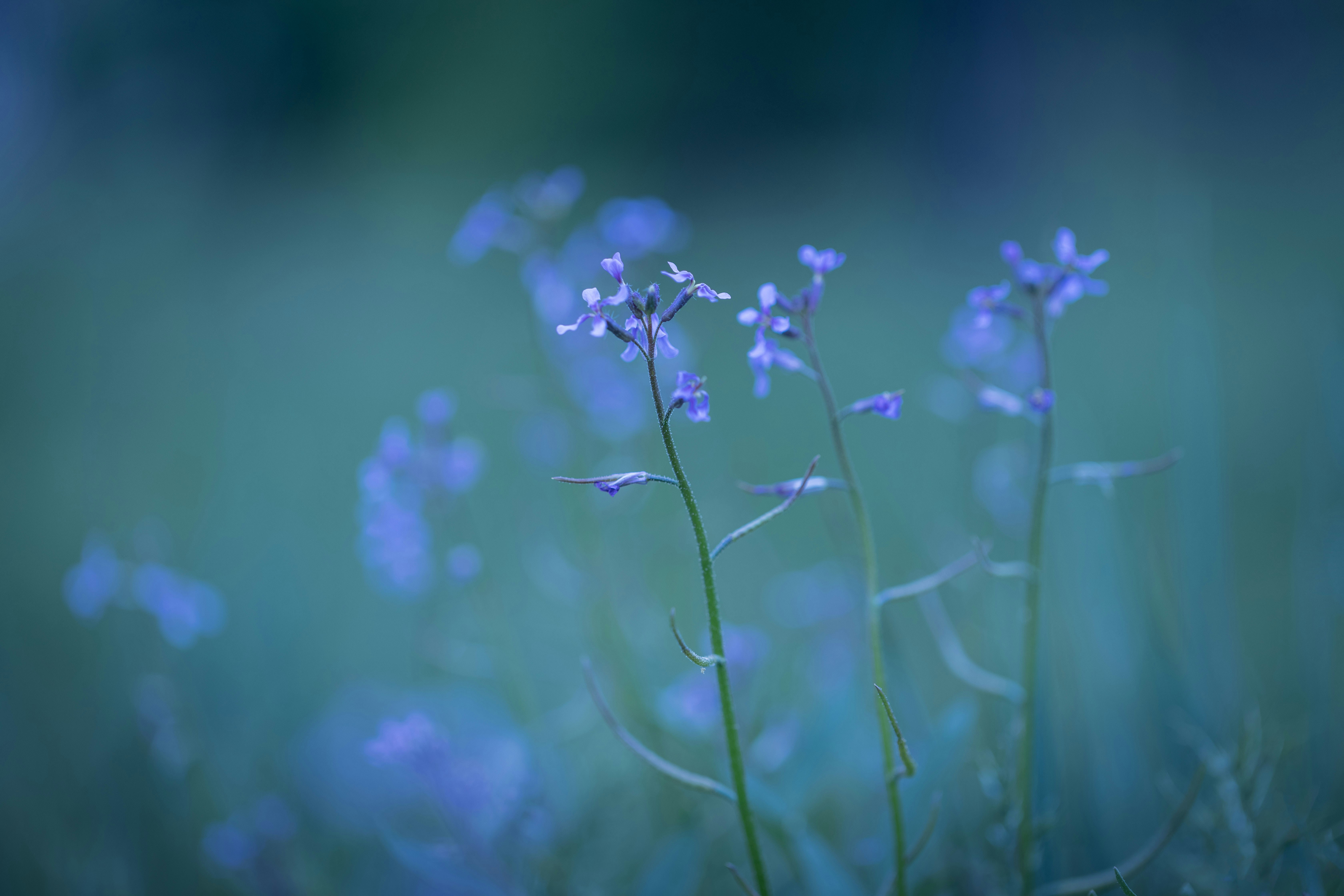 Photo by anastasia_clark