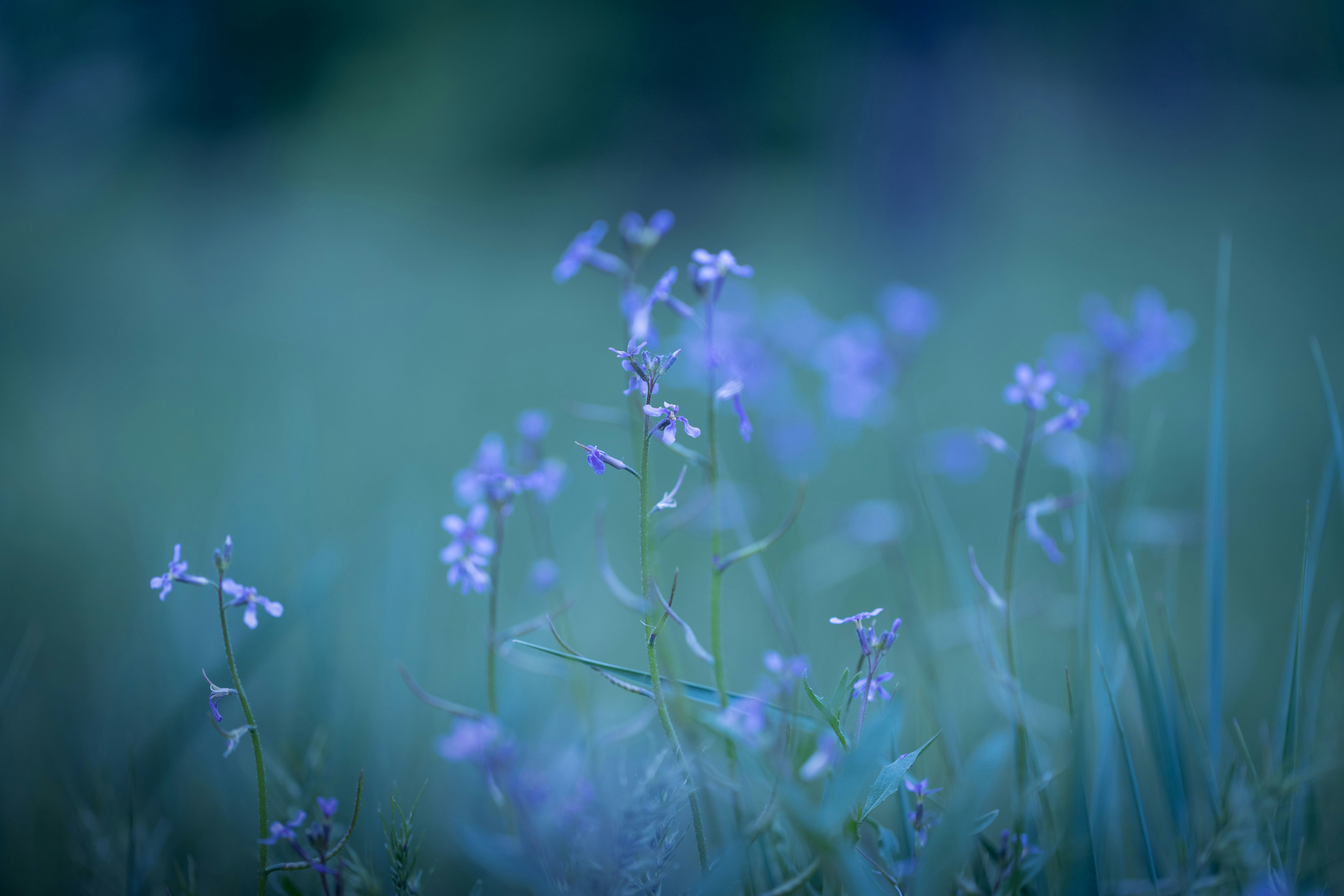 Photo by anastasia_clark