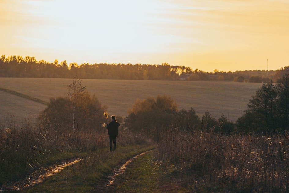 Person standing on a dirt path through an open field at sunset — the quiet draw of the outdoors