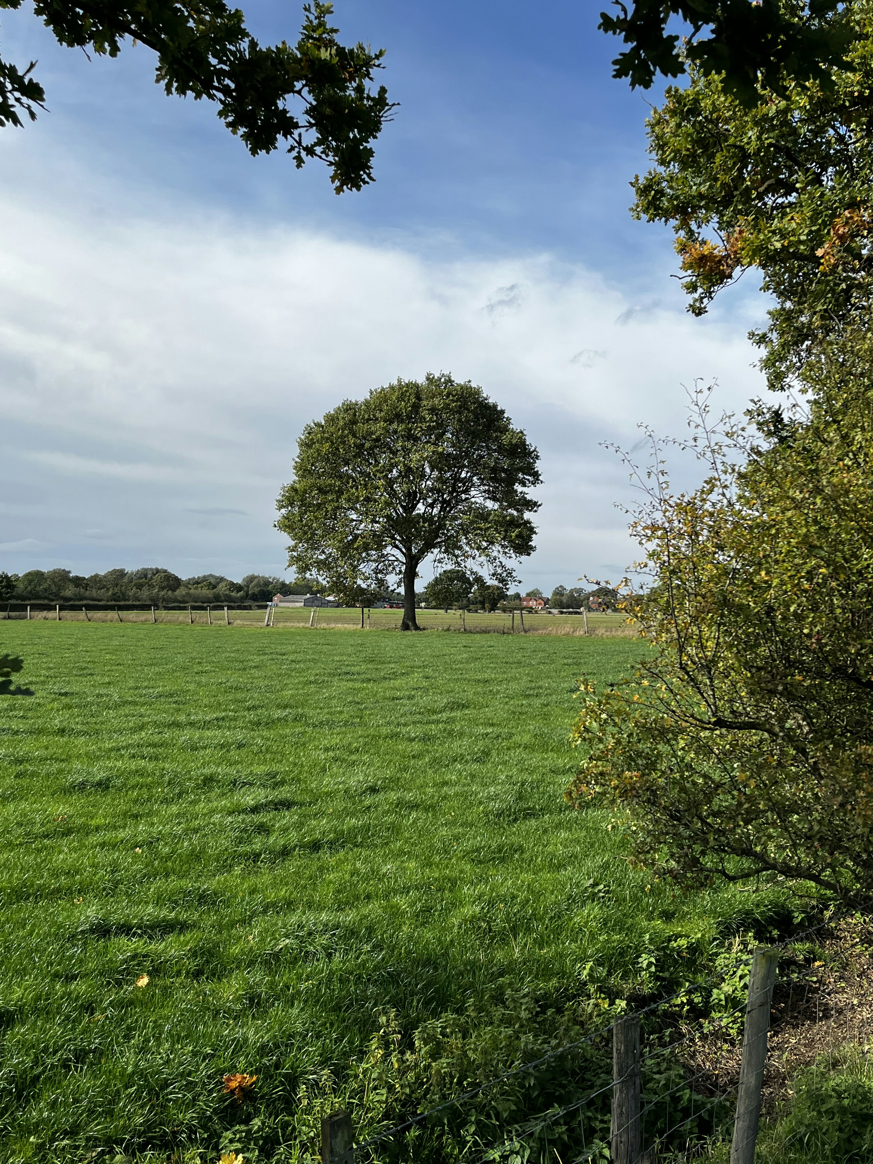 Photo by danmancunian