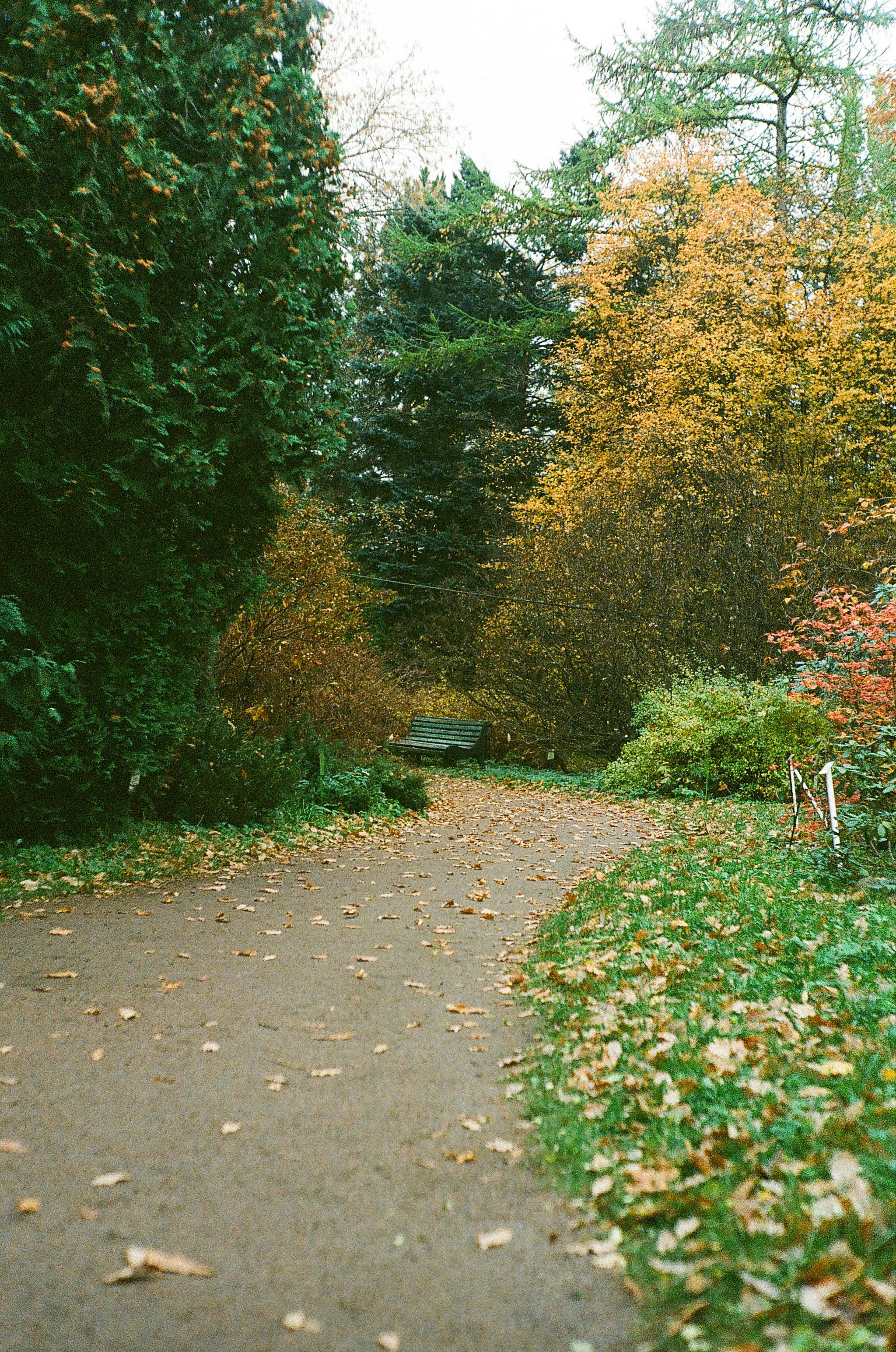 Photo by xdkomel