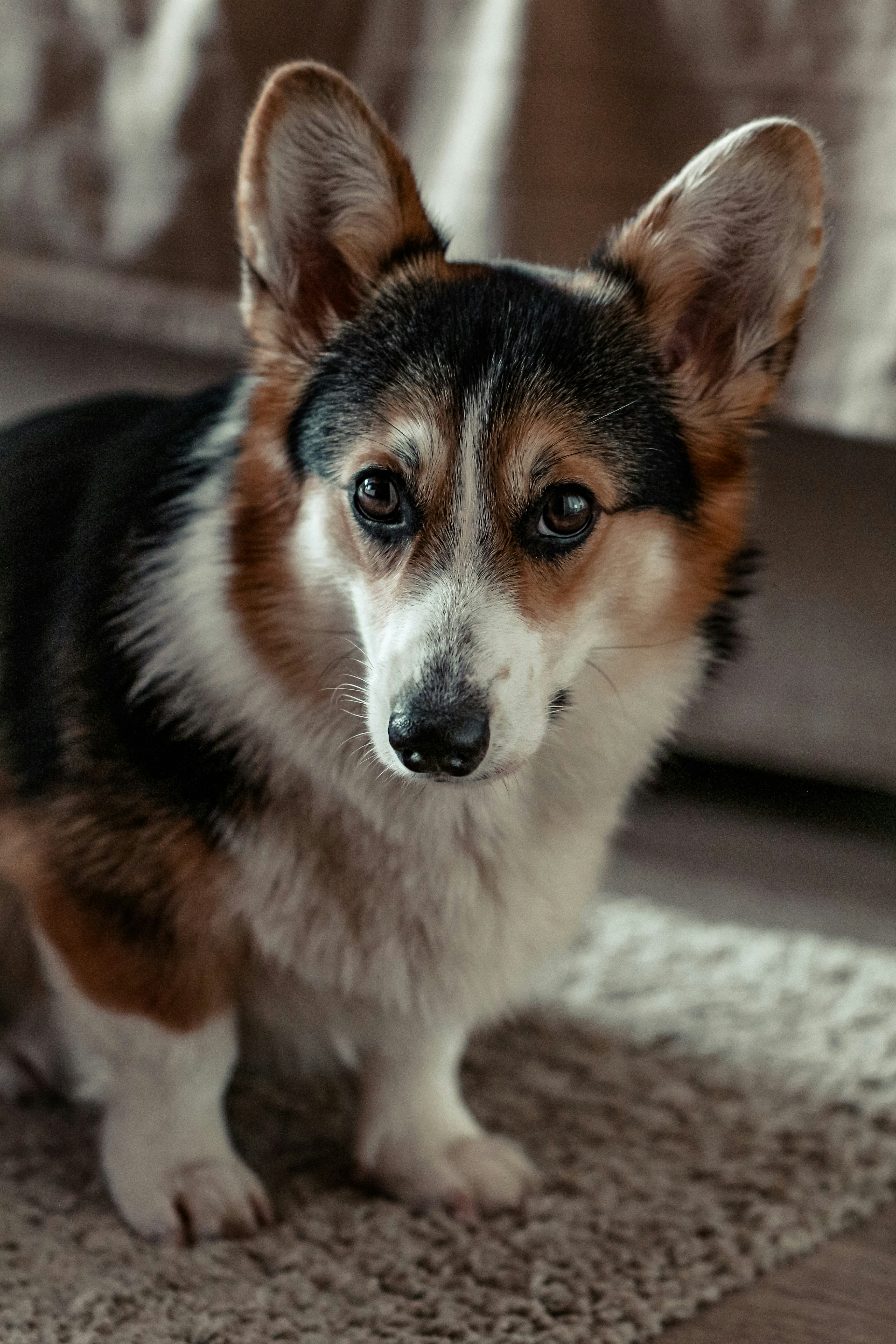 Photo by anastasia_clark