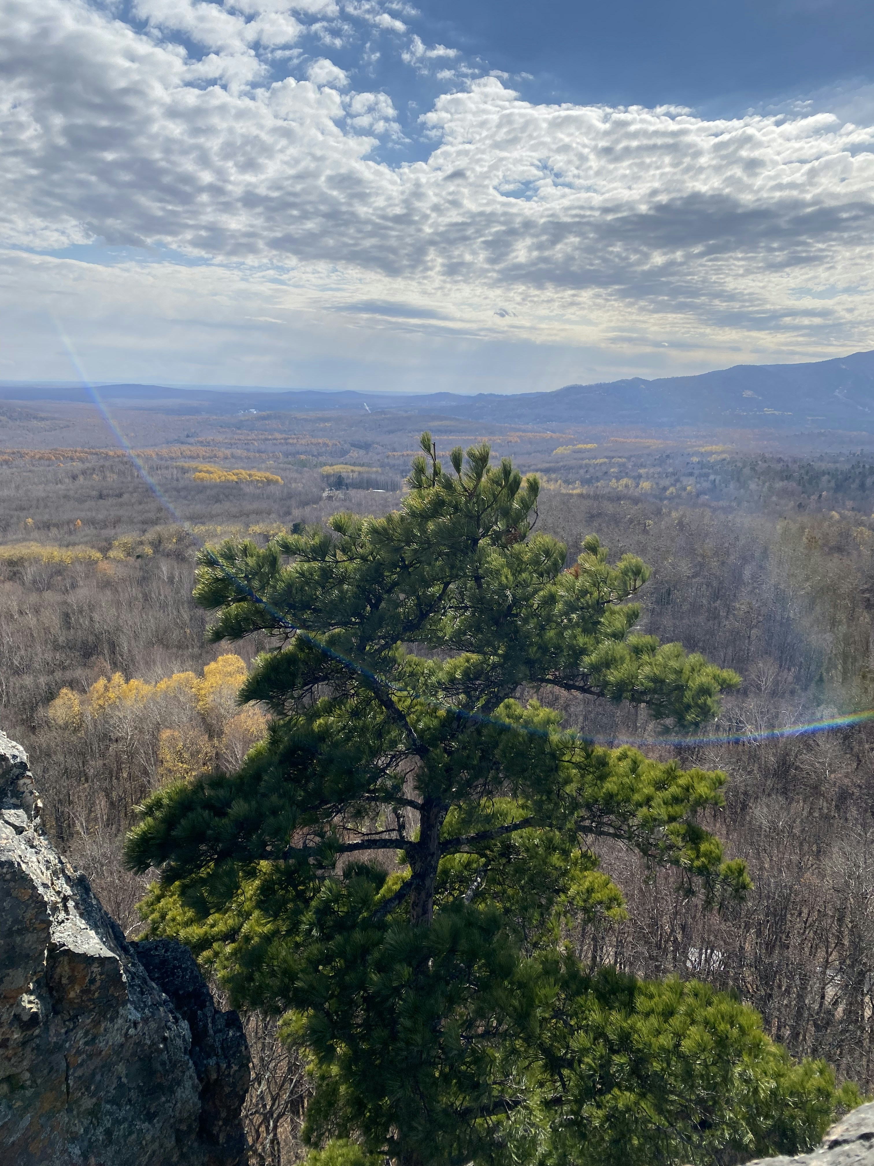 Photo by danilion_27