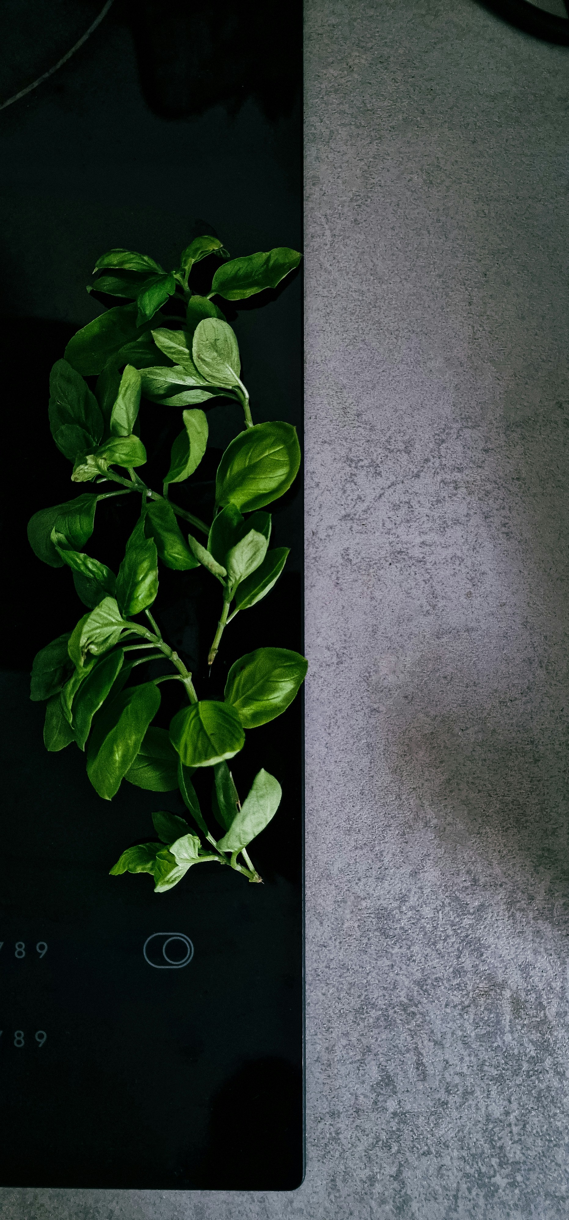 Photo by nasrallah_reham