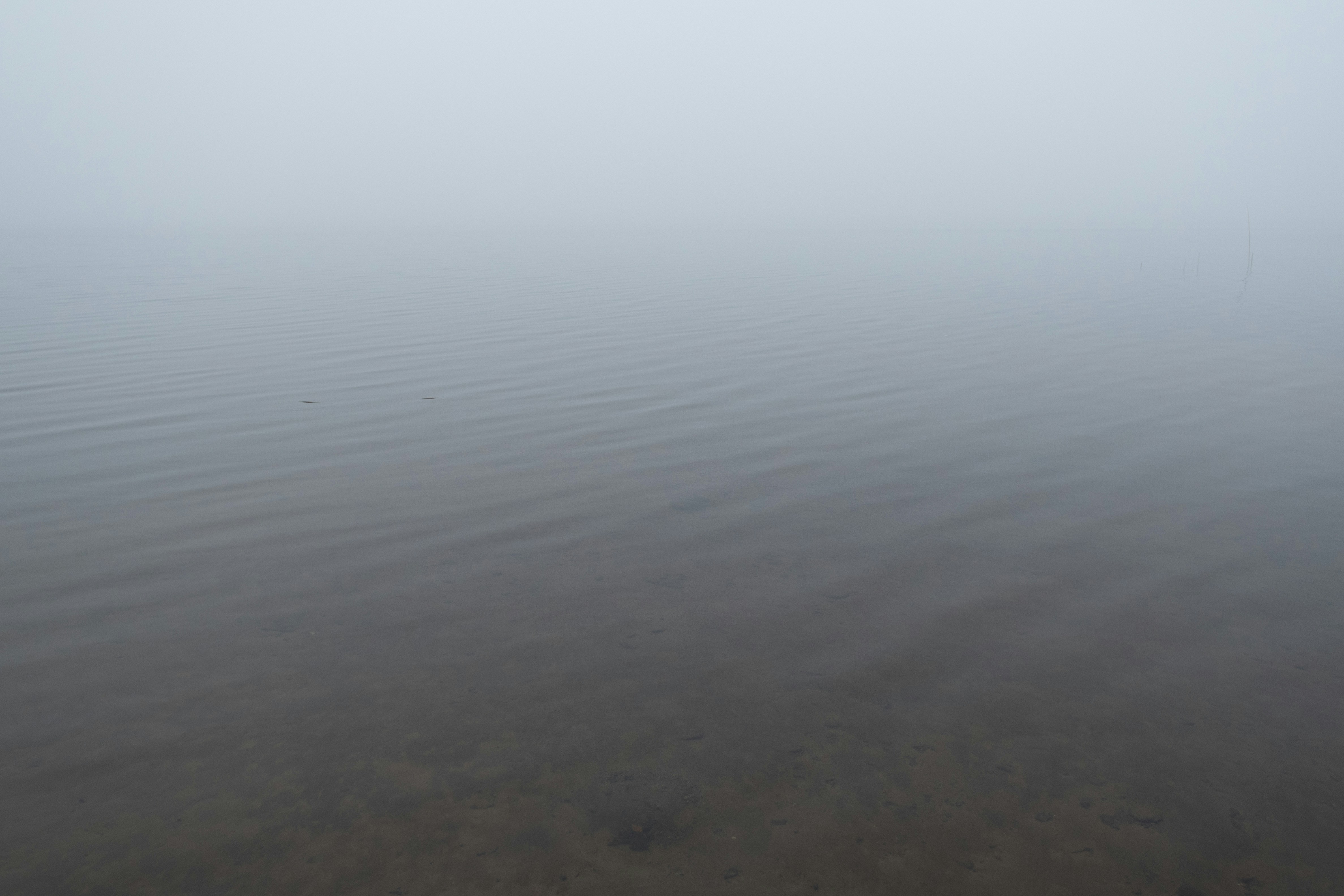 Photo by noitadigital