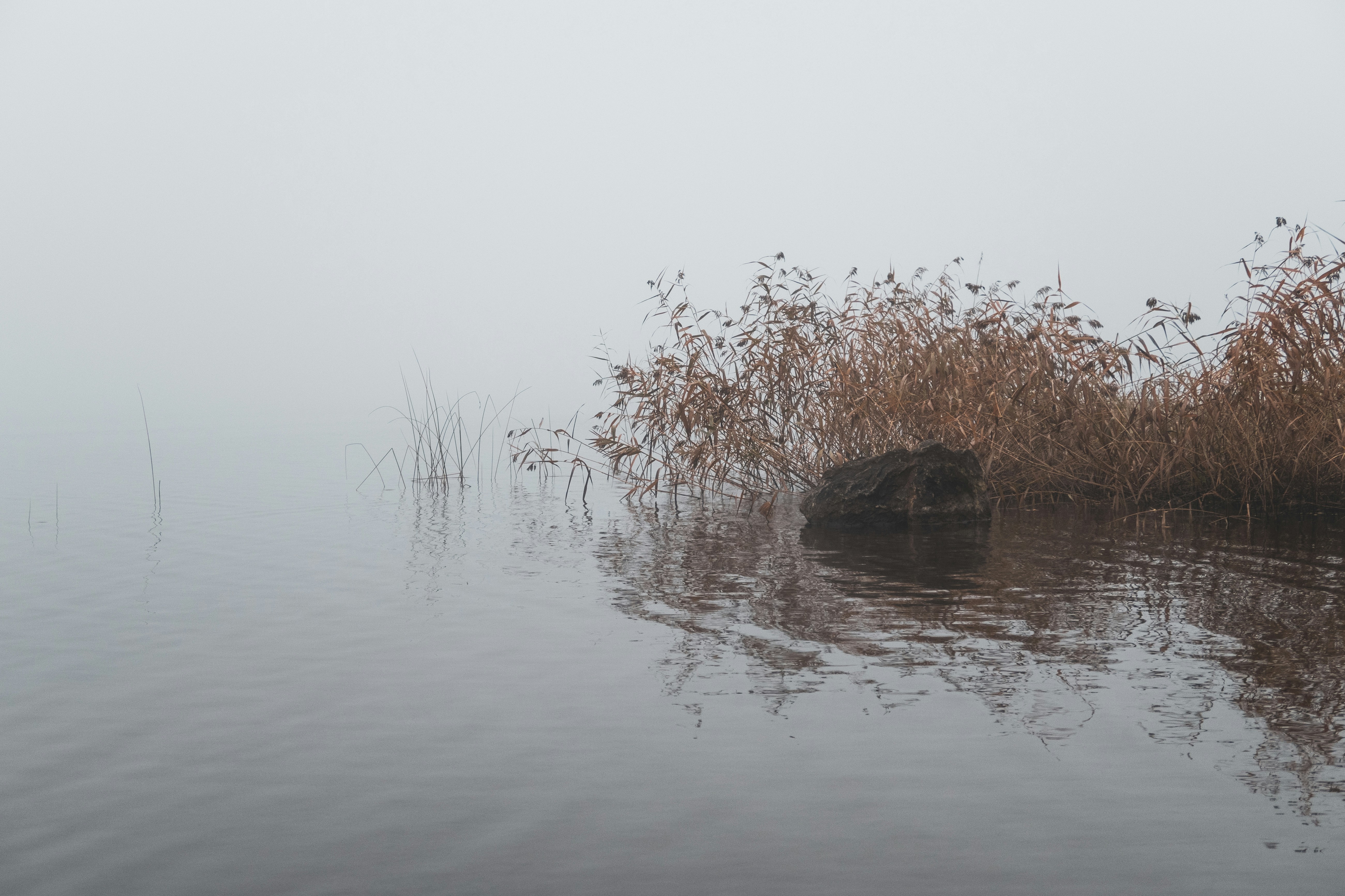 Photo by noitadigital