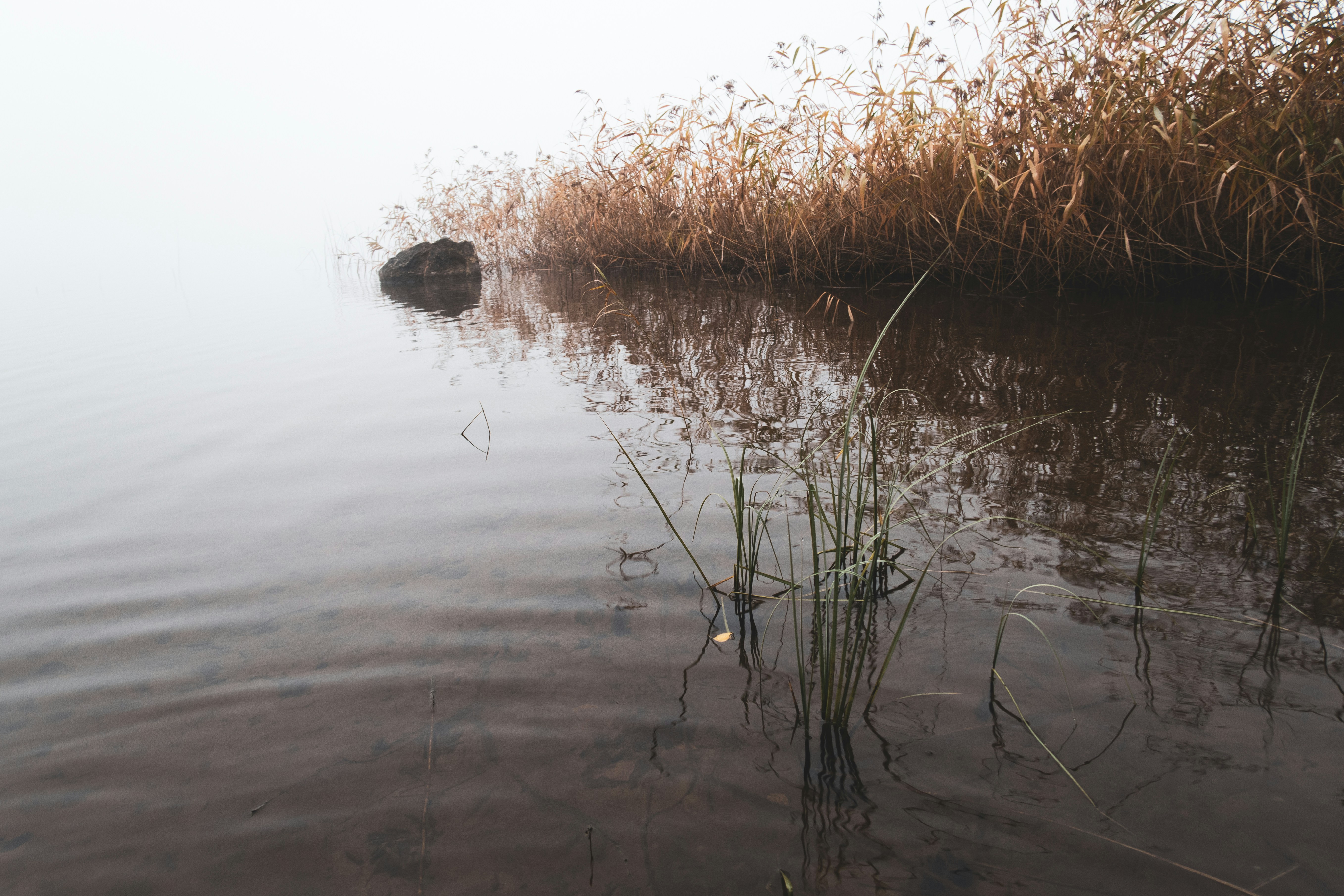 Photo by noitadigital