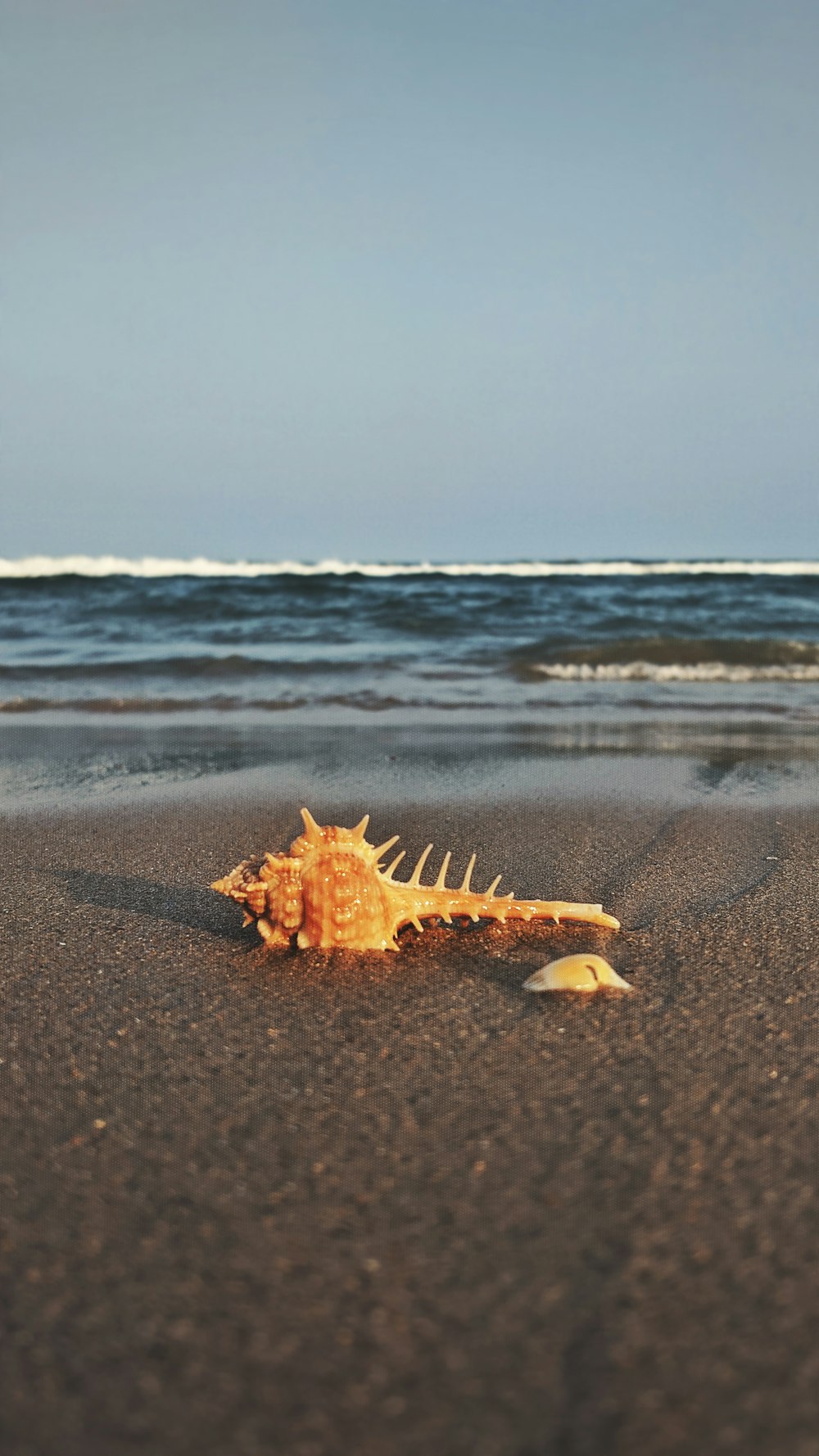 a fire on a beach