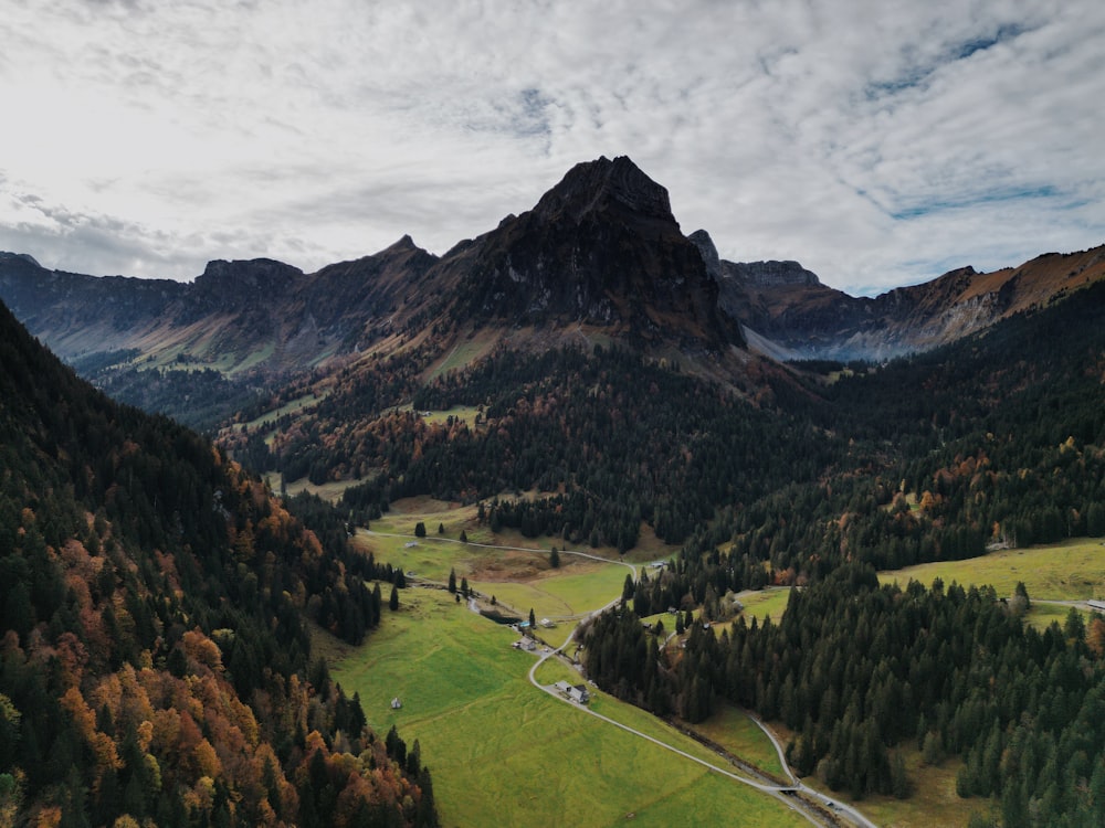 Une montagne avec une route et des arbres