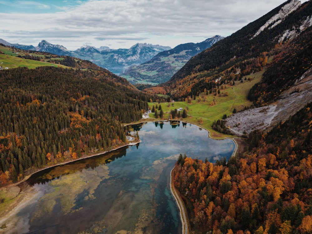 Ein Fluss fließt durch ein Tal mit Bäumen und Bergen im Hintergrund