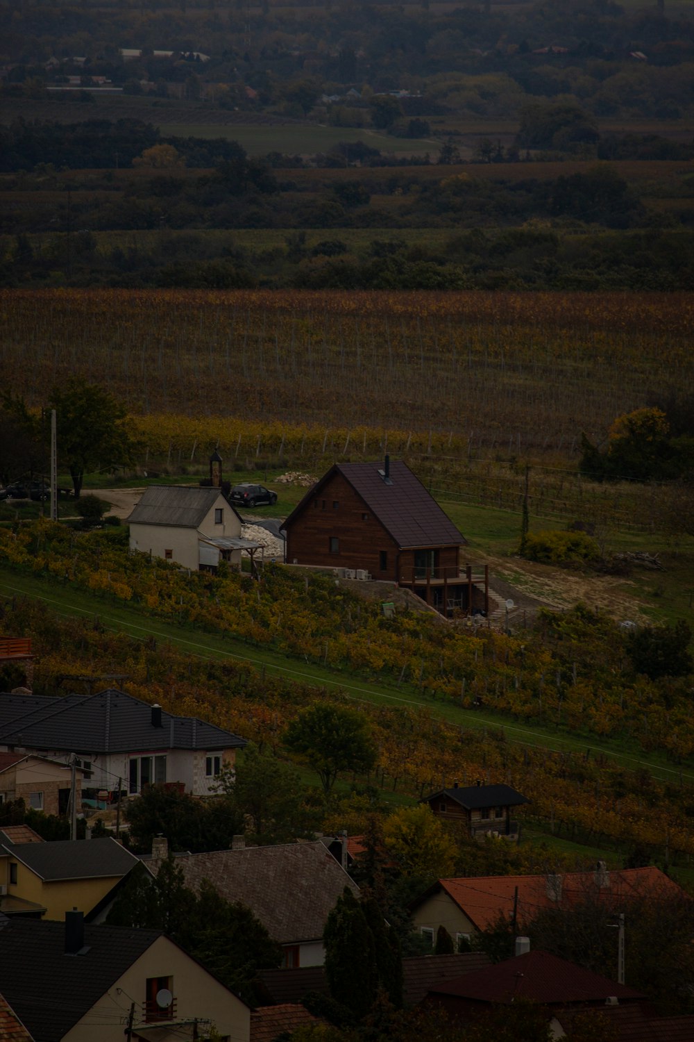 a group of houses in a valley