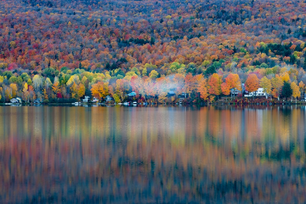 a lake with trees around it