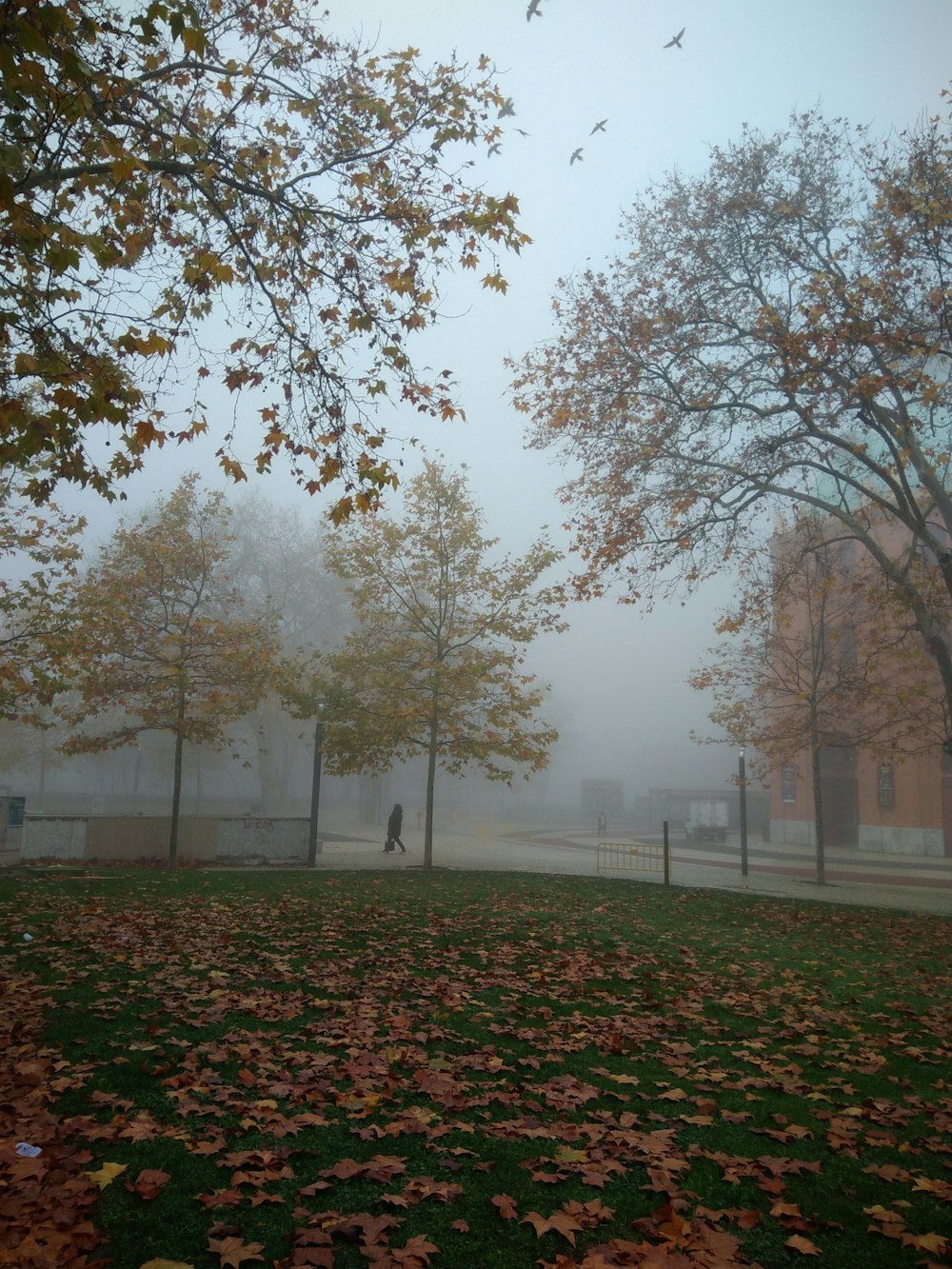 a person walking in a park