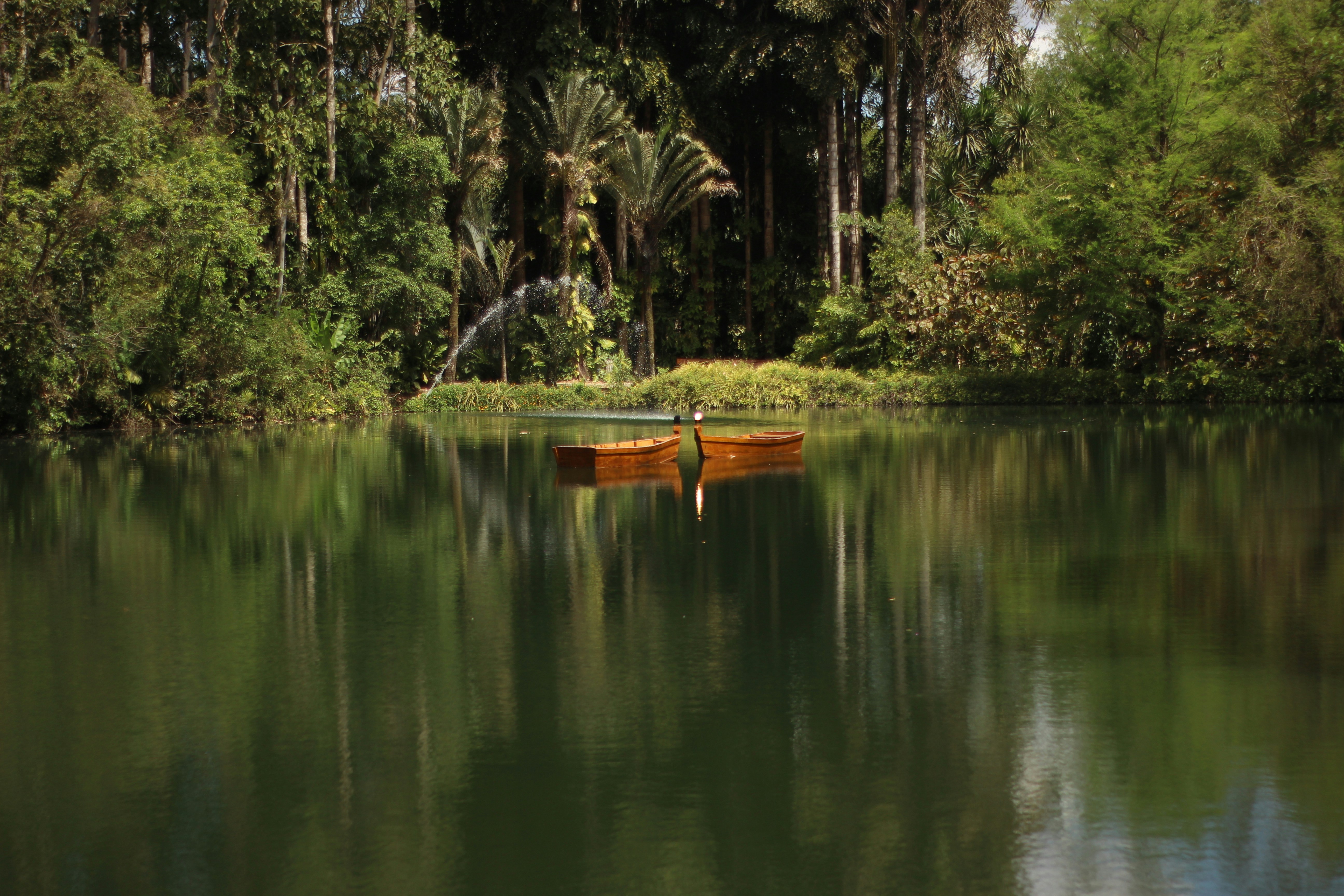 Serene lake surrounded by lush green trees with small boats on calm water reflecting golden morning light