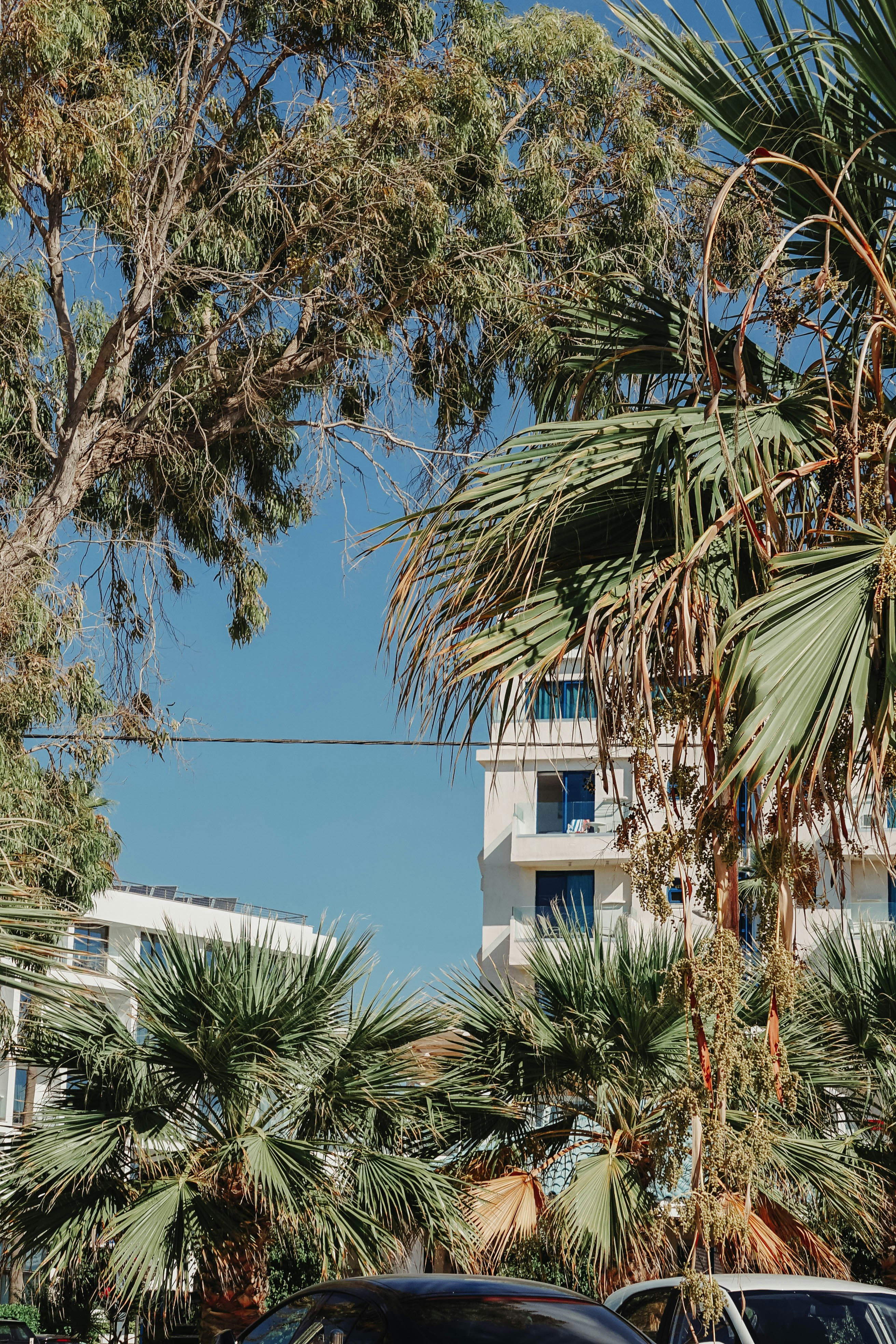 Photo by alexrphotography