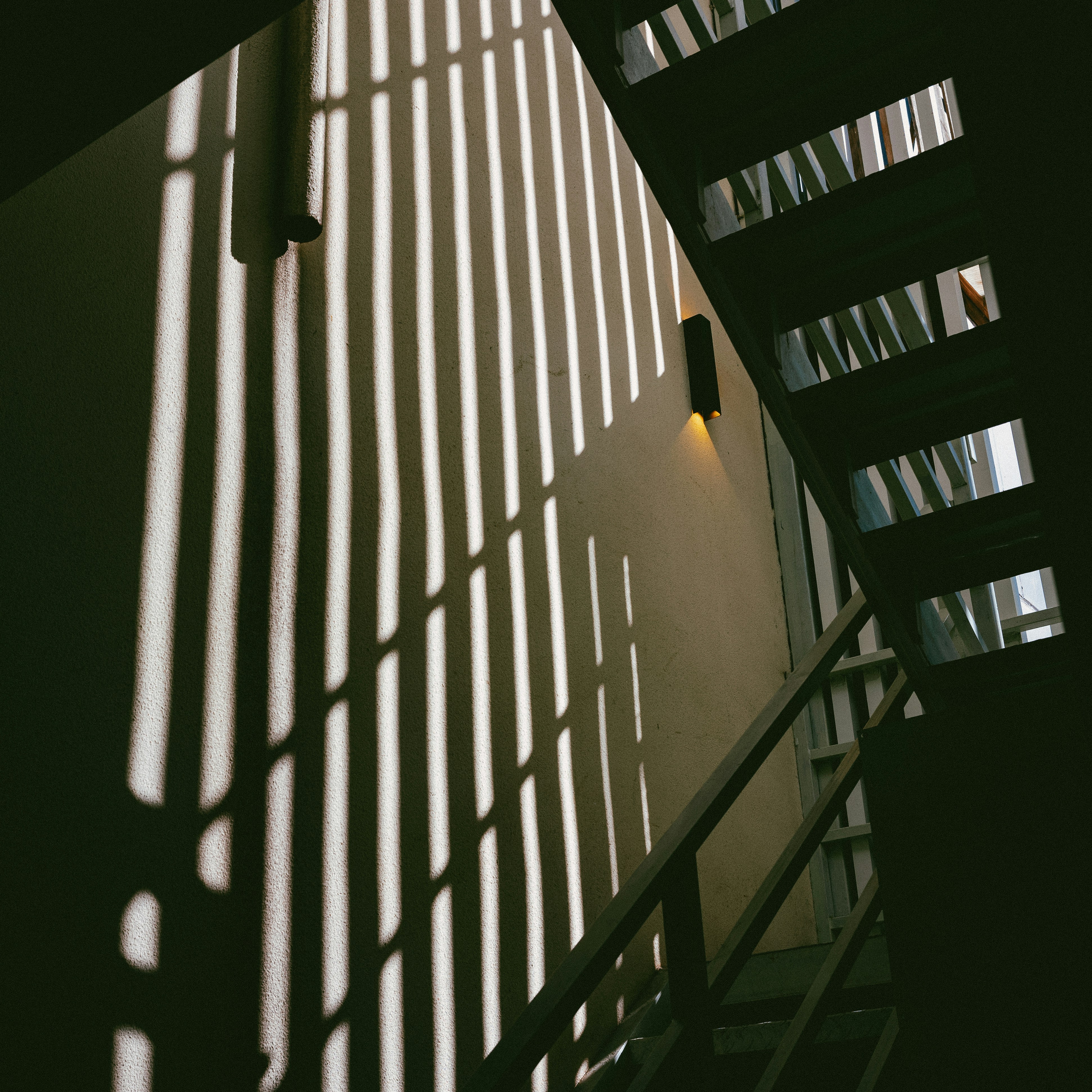 Photo by tommaomaoer