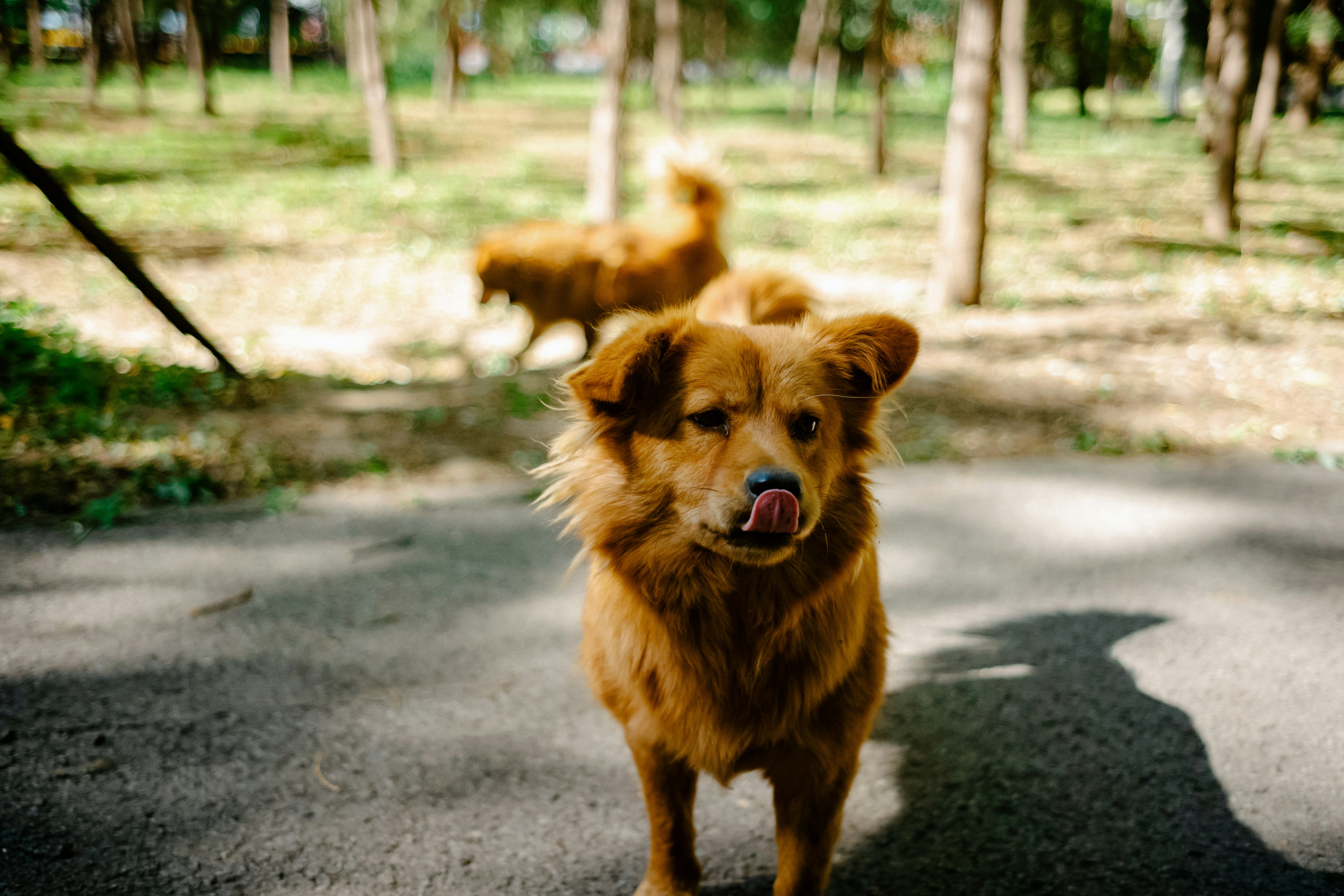 Photo by tommaomaoer