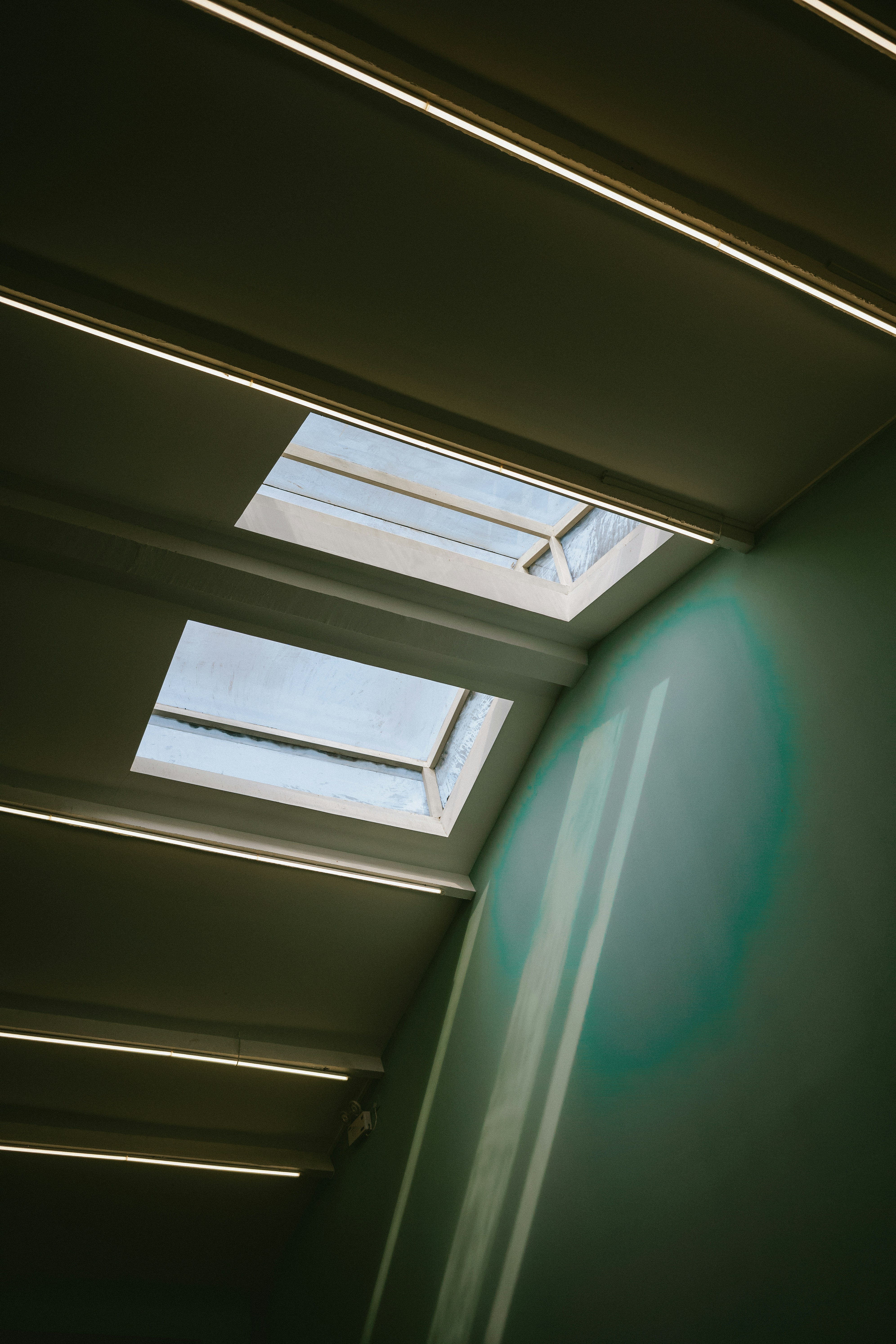 Photo by tommaomaoer