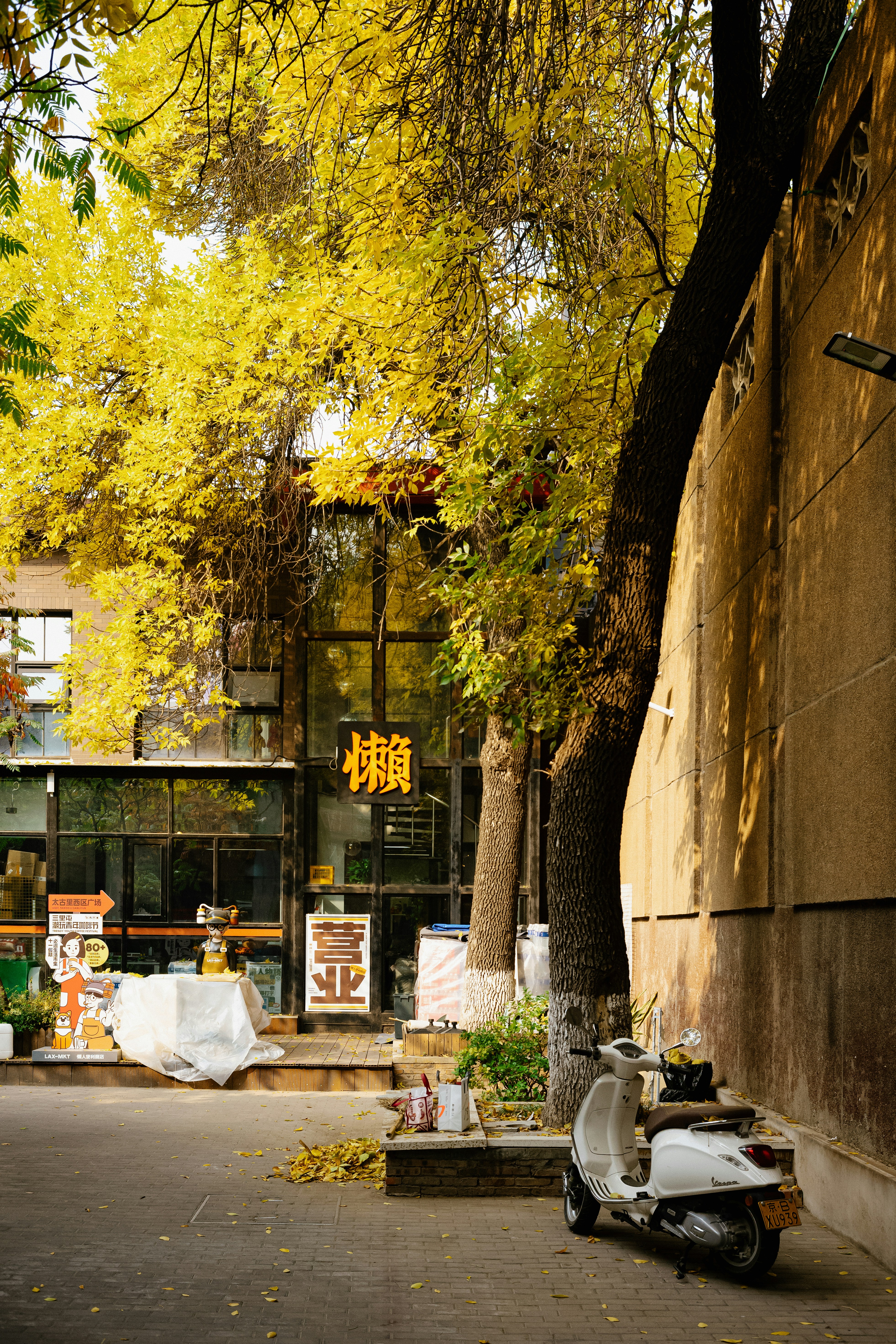 Photo by tommaomaoer