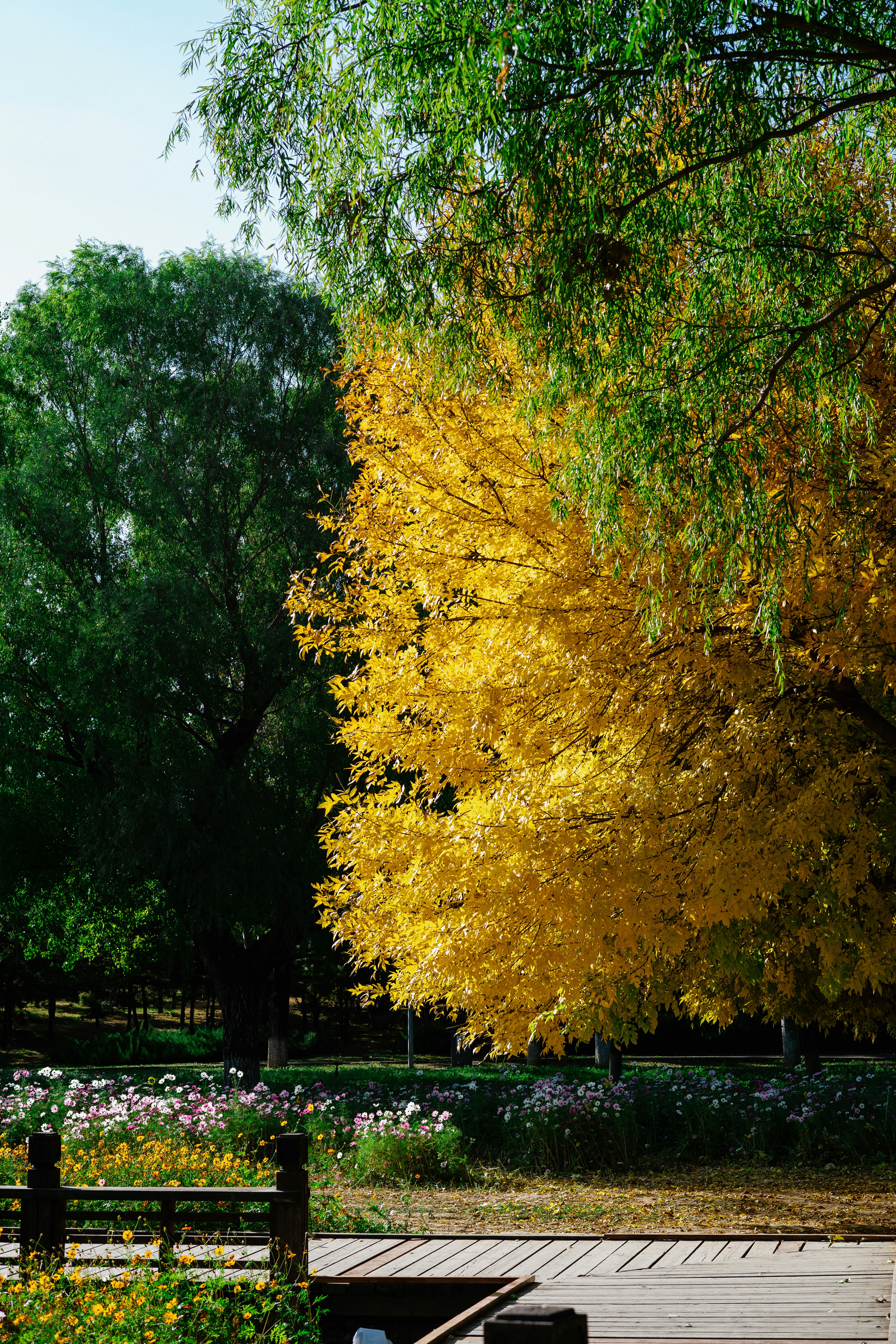 Photo by tommaomaoer