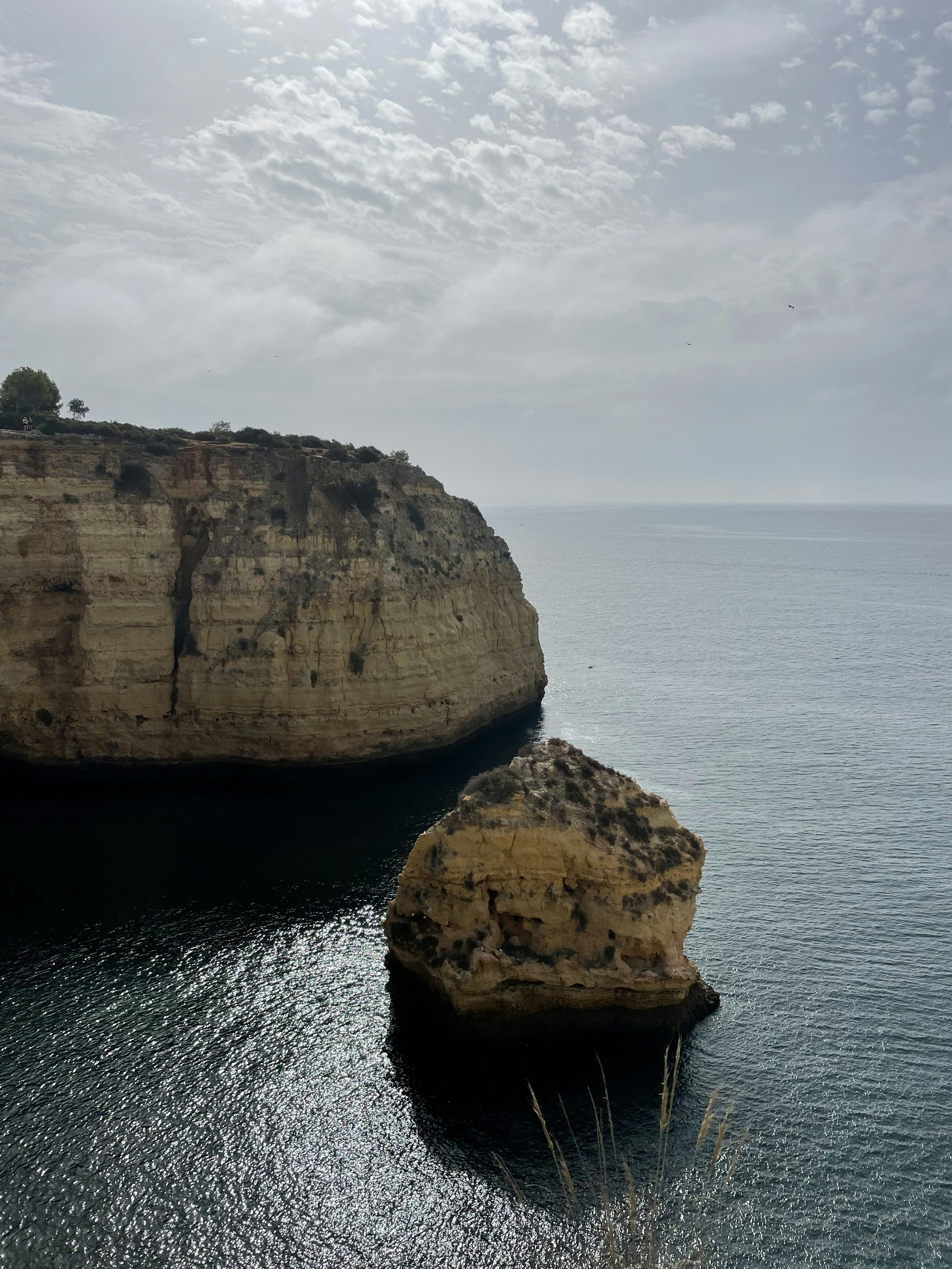 Photo by galifianakis