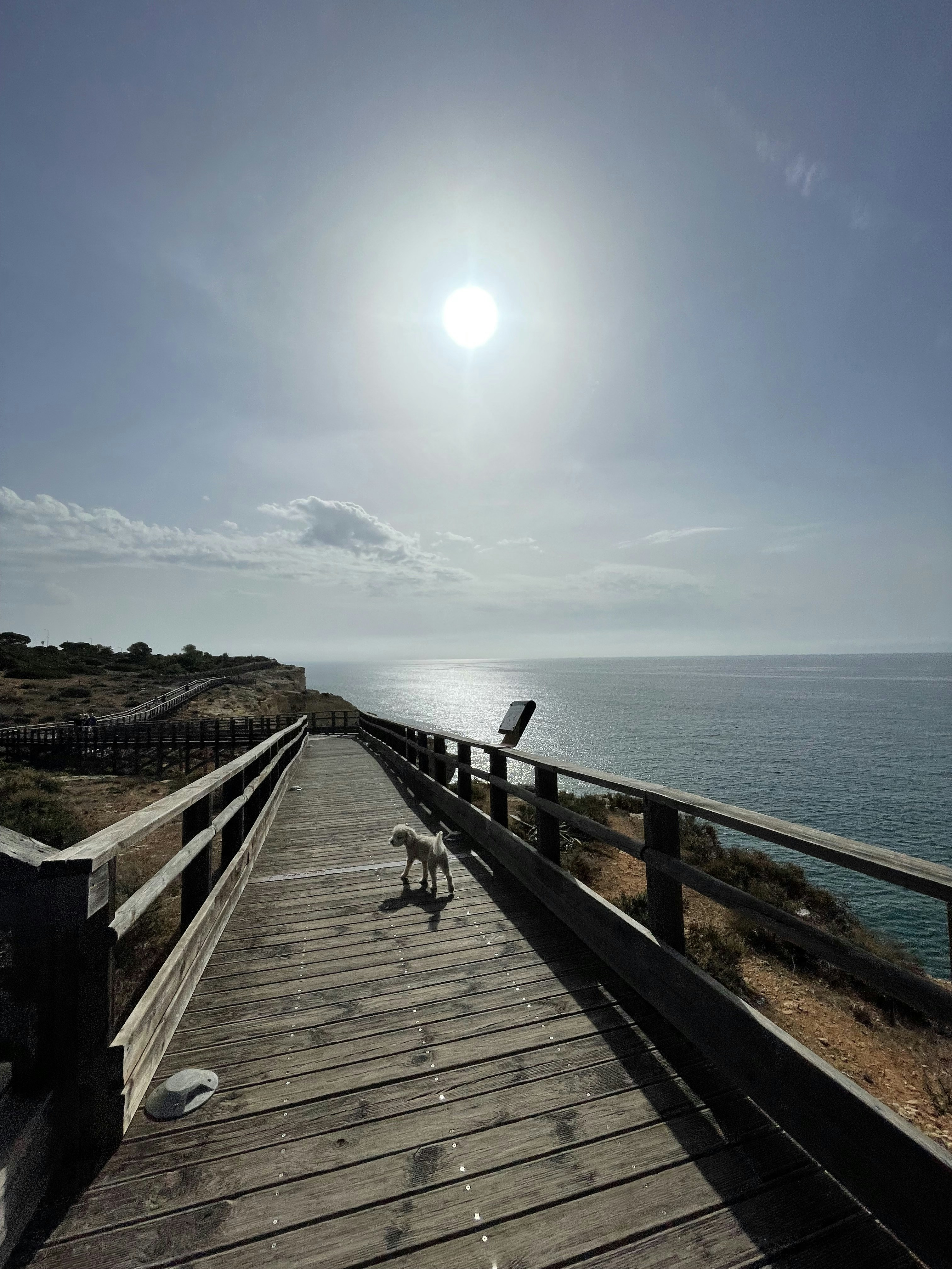 Photo by galifianakis