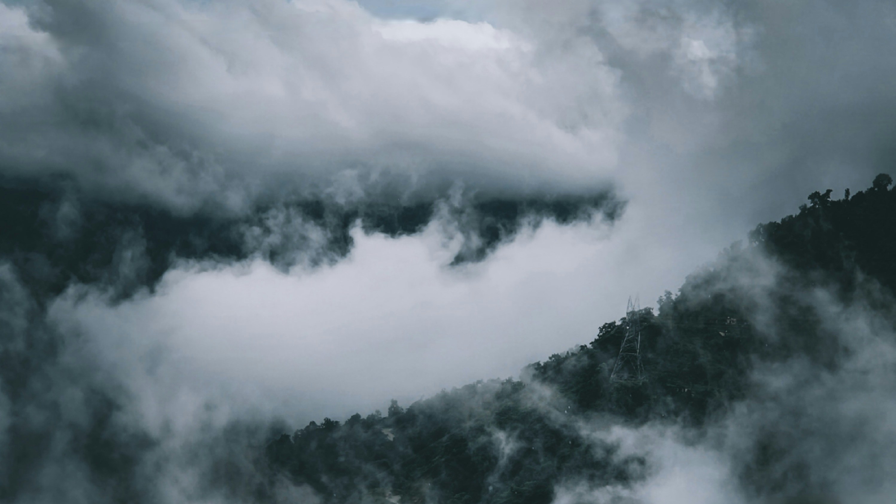 Photo by lookforyash