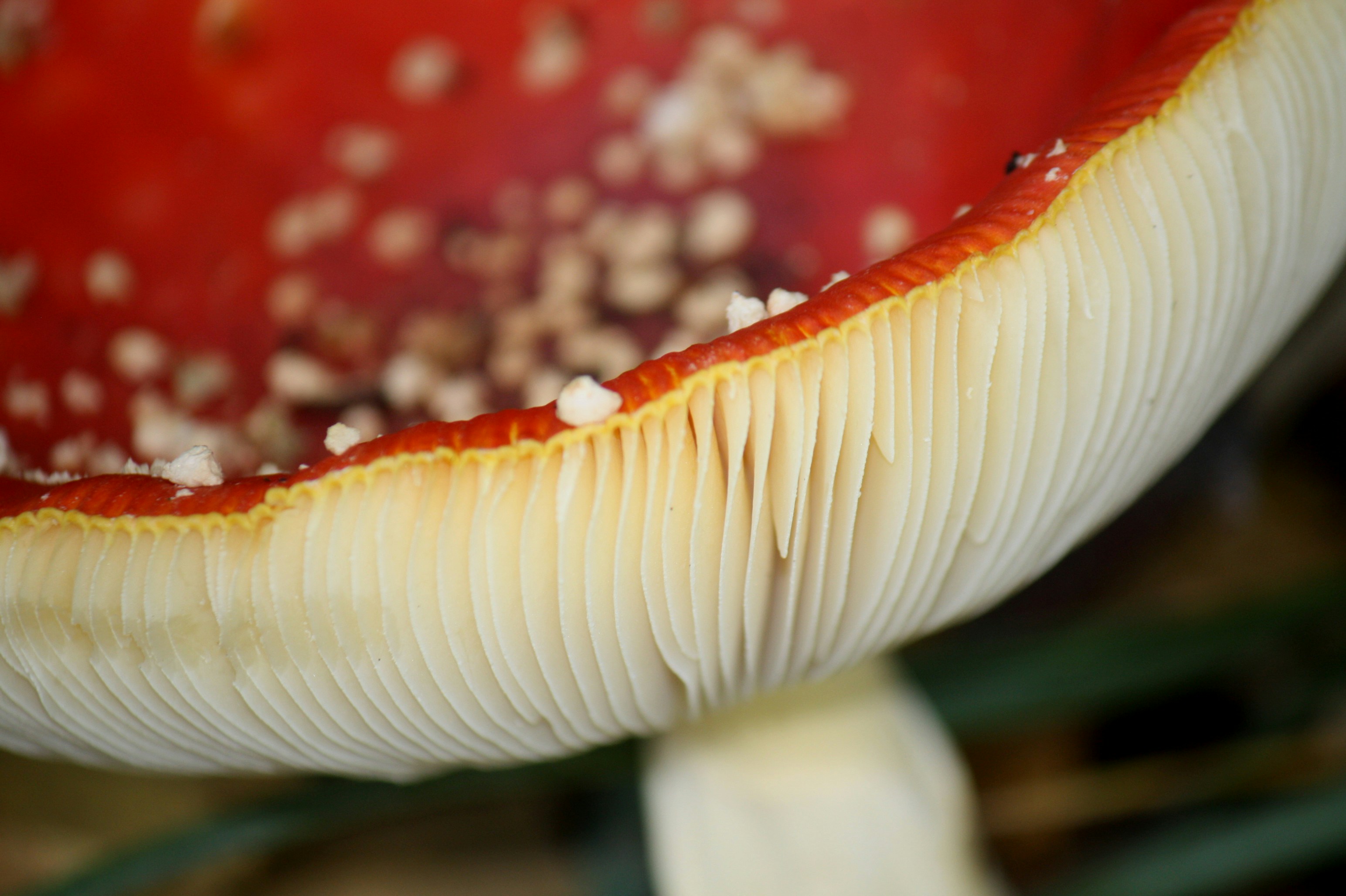 Photo by wies_photographs