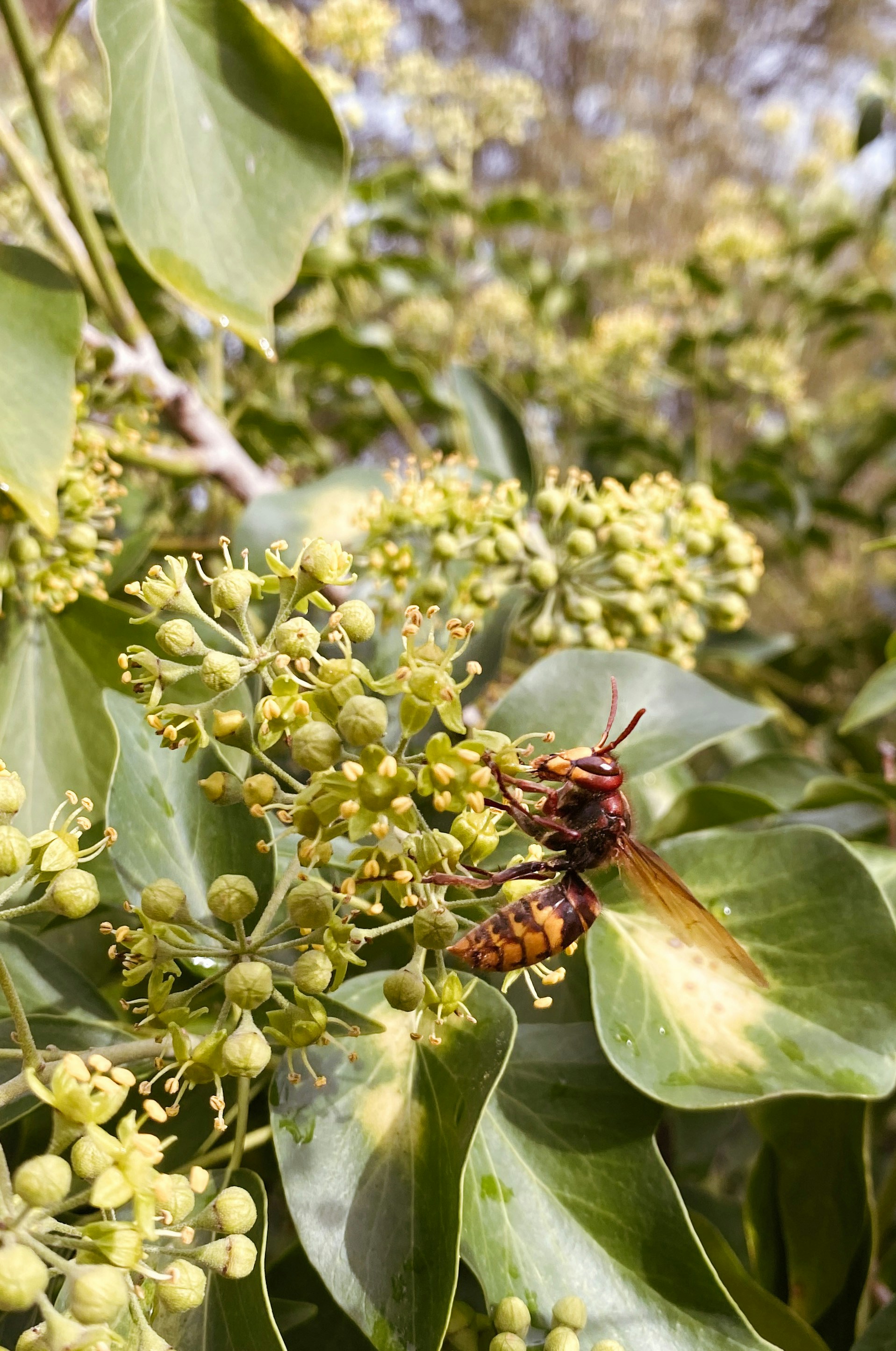 Photo by saracaliari