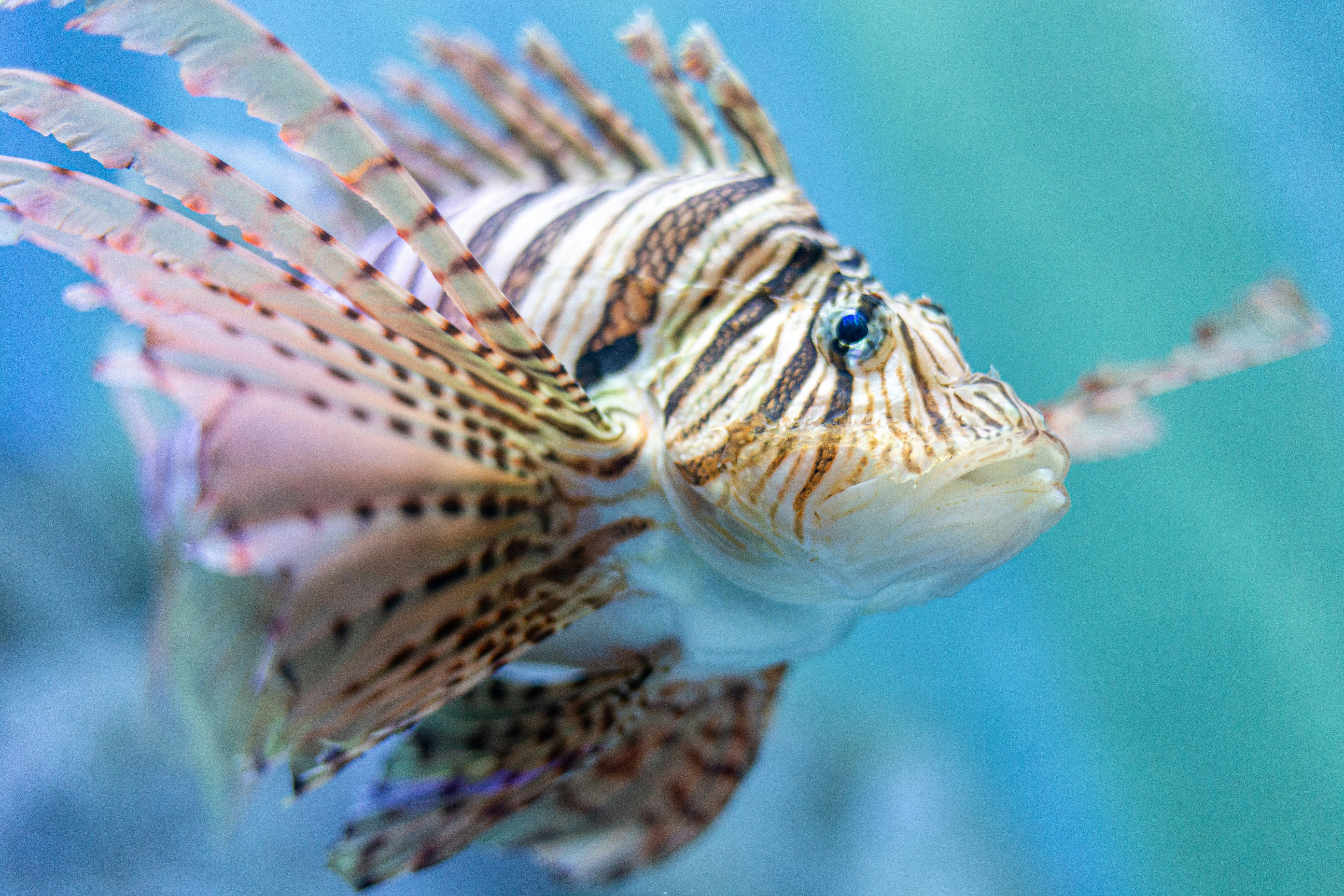 Photo by matheenfaiz