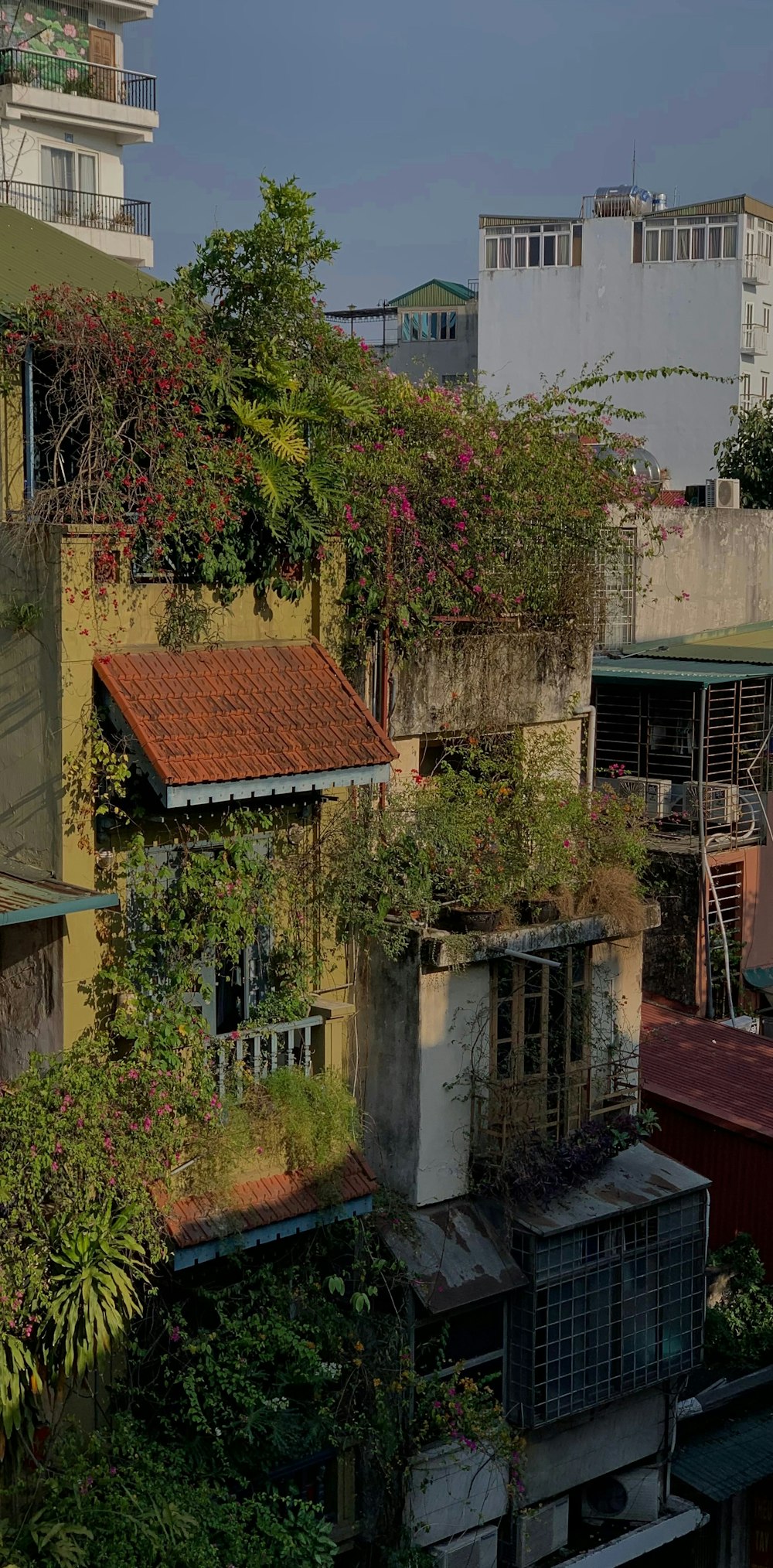 eine Gruppe von Gebäuden mit Bäumen und Pflanzen auf dem Dach