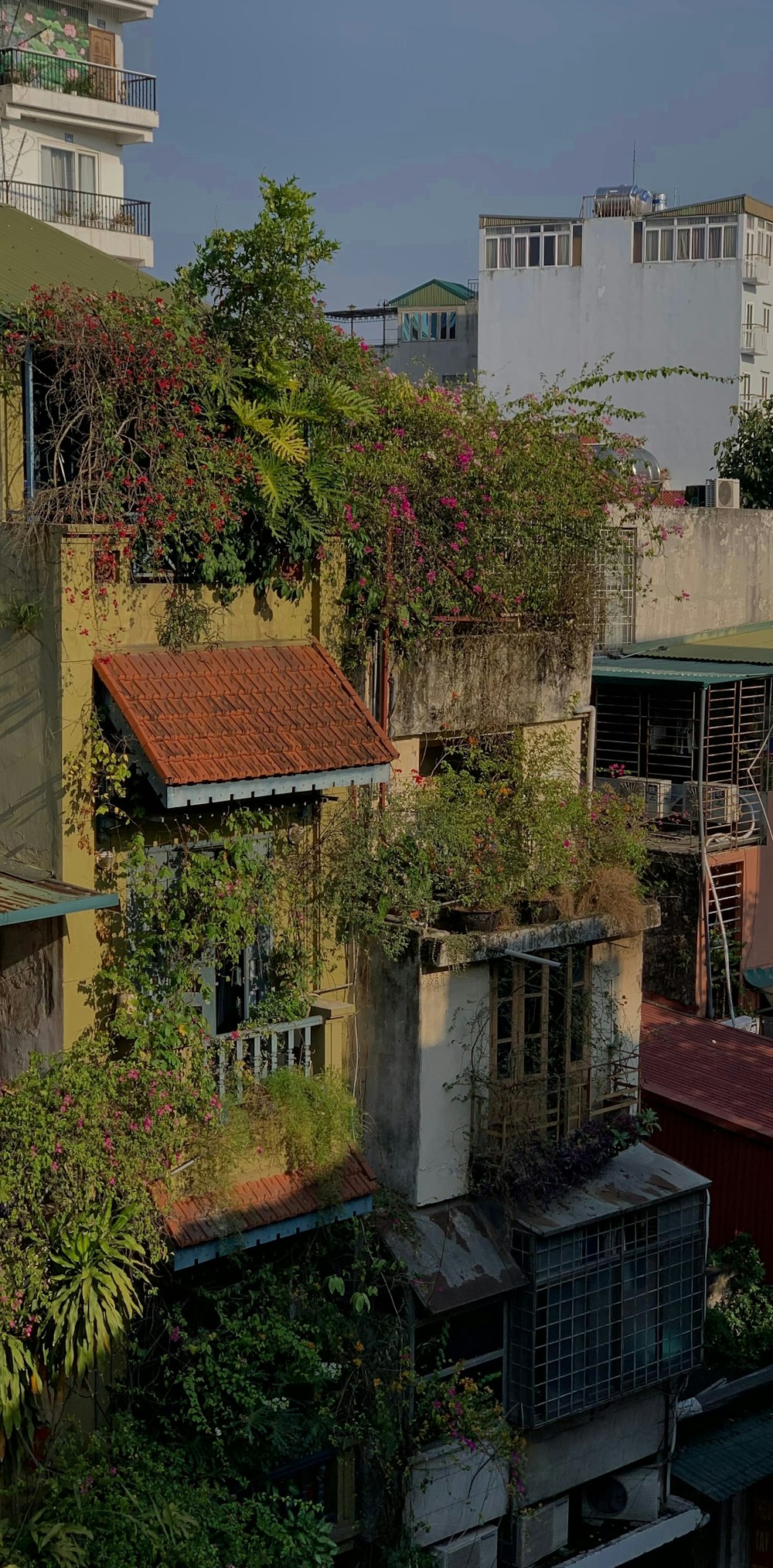 a group of buildings with trees and plants on the roof