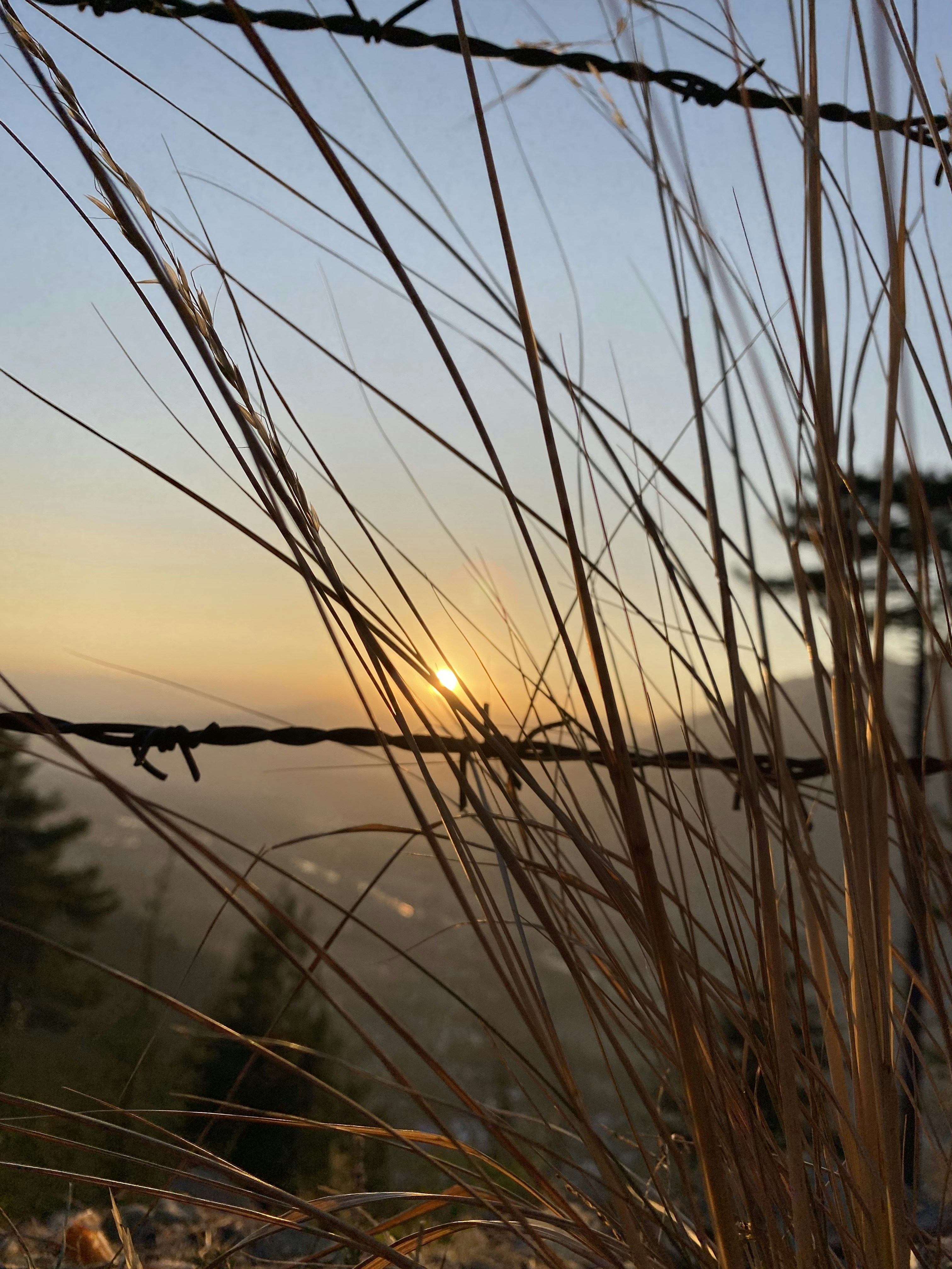 Photo by muneebmushtaq