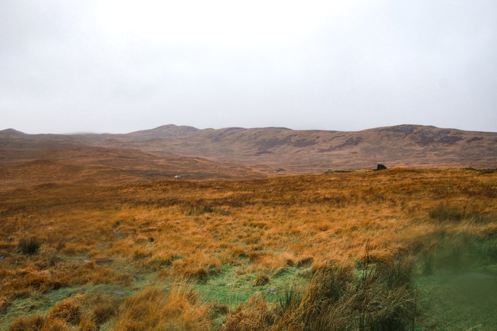 a grassy field with hills in the background