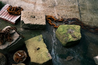 Large, weathered concrete blocks are connected by heavy, rusted chains. A red wooden pallet is partially visible, placed near one of the blocks. The surface surrounding the blocks is covered with moss and appears wet, suggesting proximity to water.