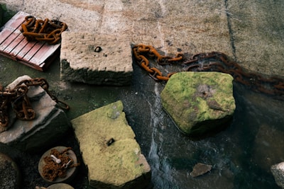 Large, weathered concrete blocks are connected by heavy, rusted chains. A red wooden pallet is partially visible, placed near one of the blocks. The surface surrounding the blocks is covered with moss and appears wet, suggesting proximity to water.