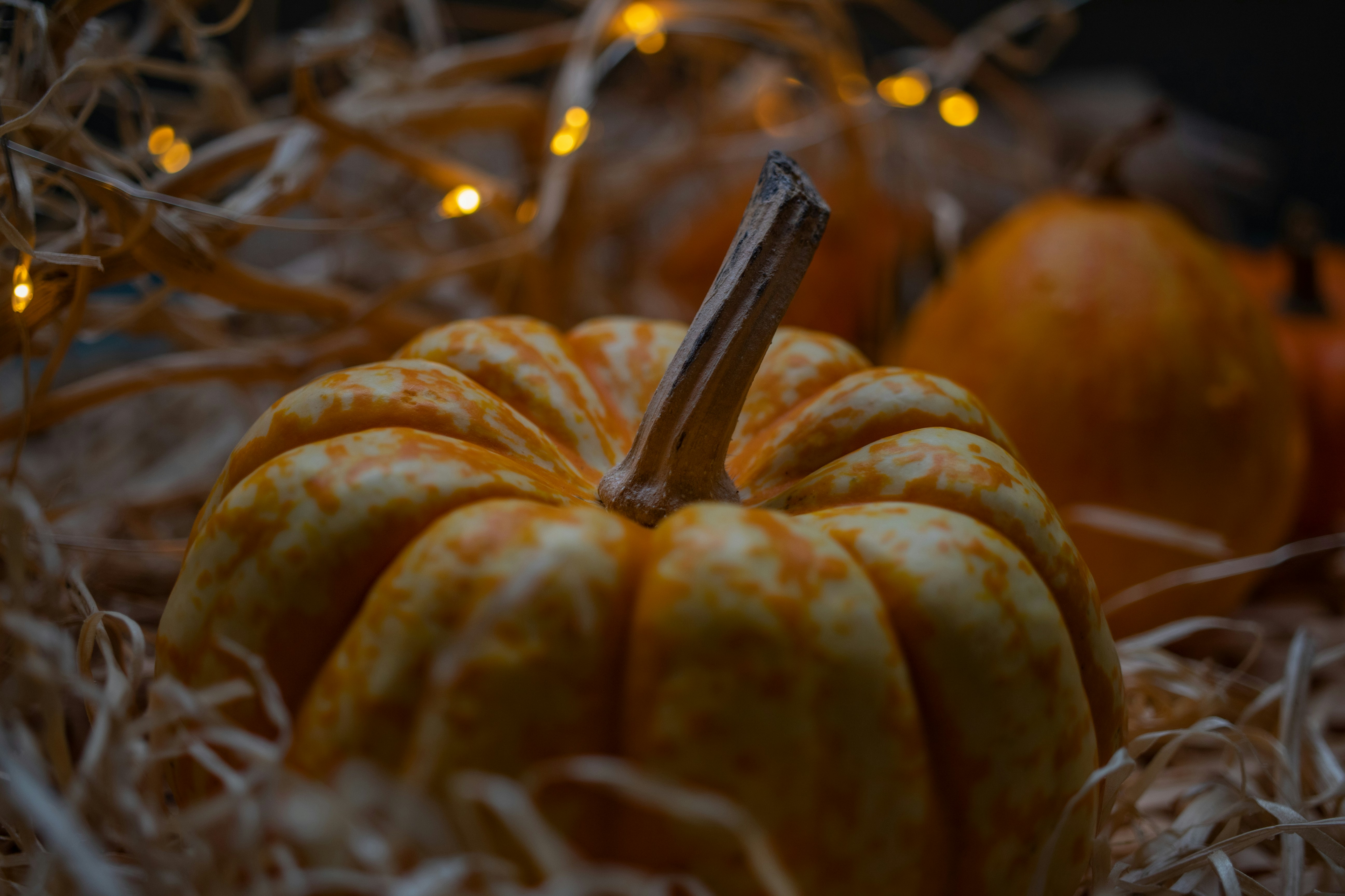 Photo by supardisign