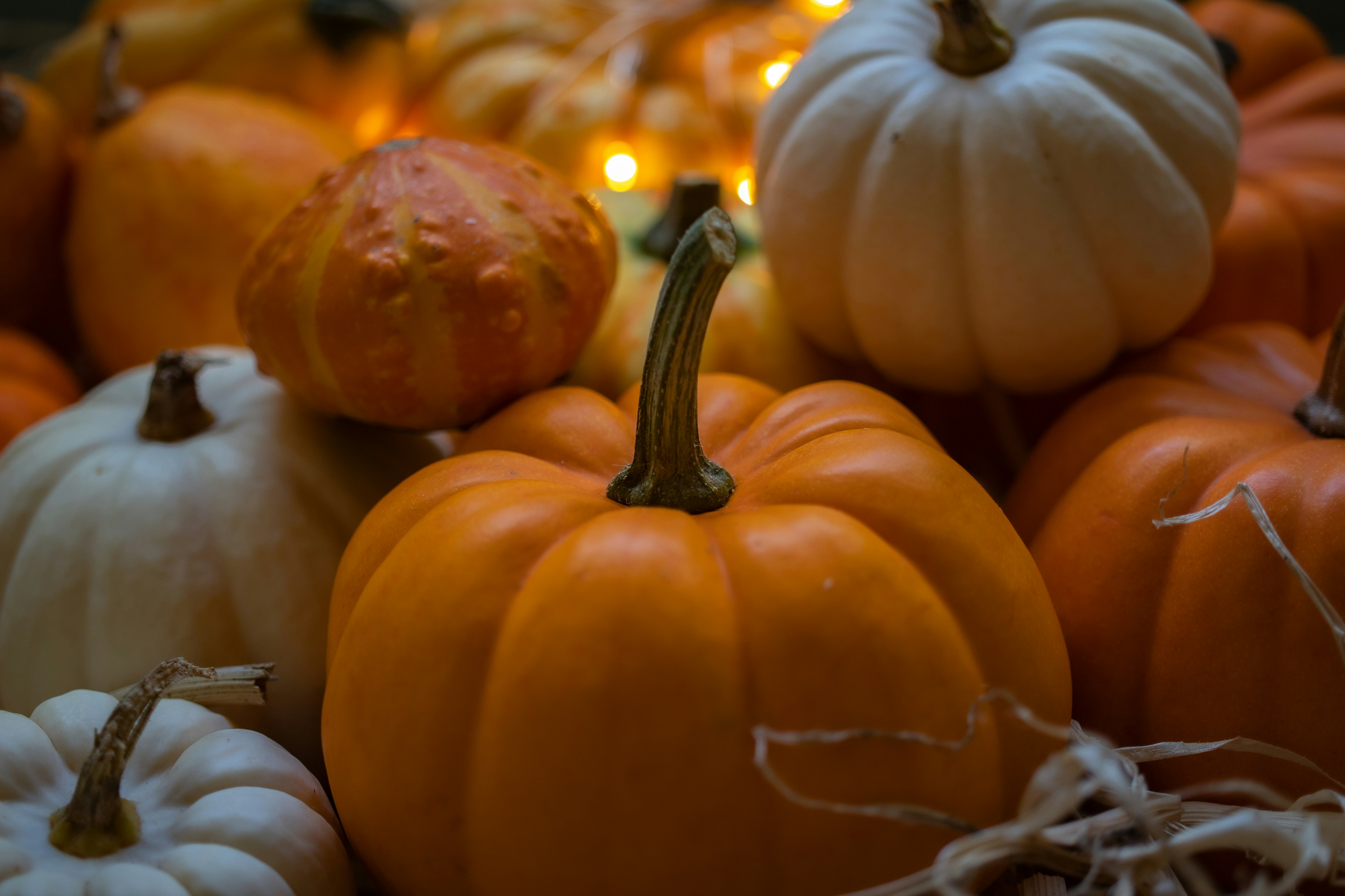 Photo by supardisign