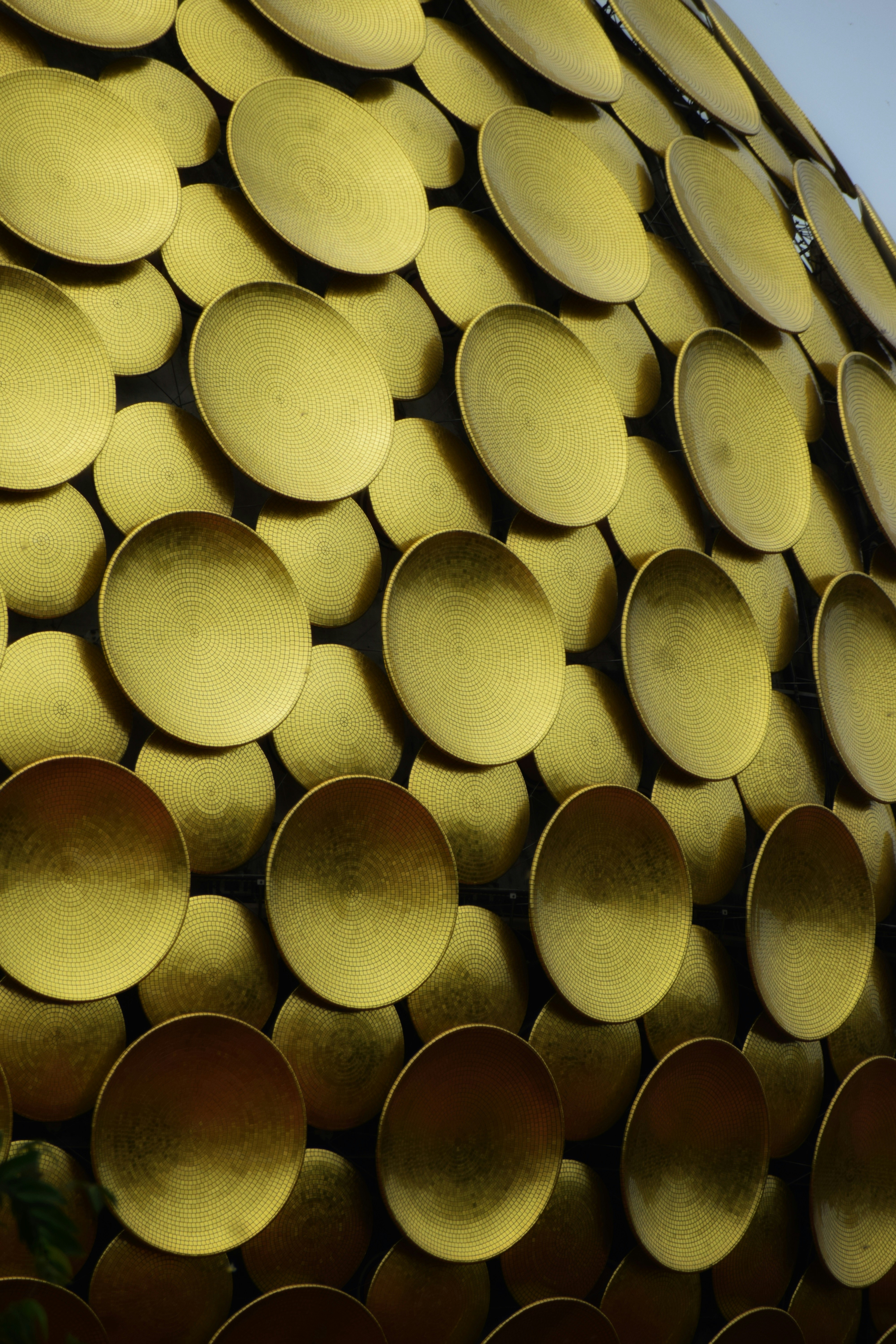 Photo by gautham1611