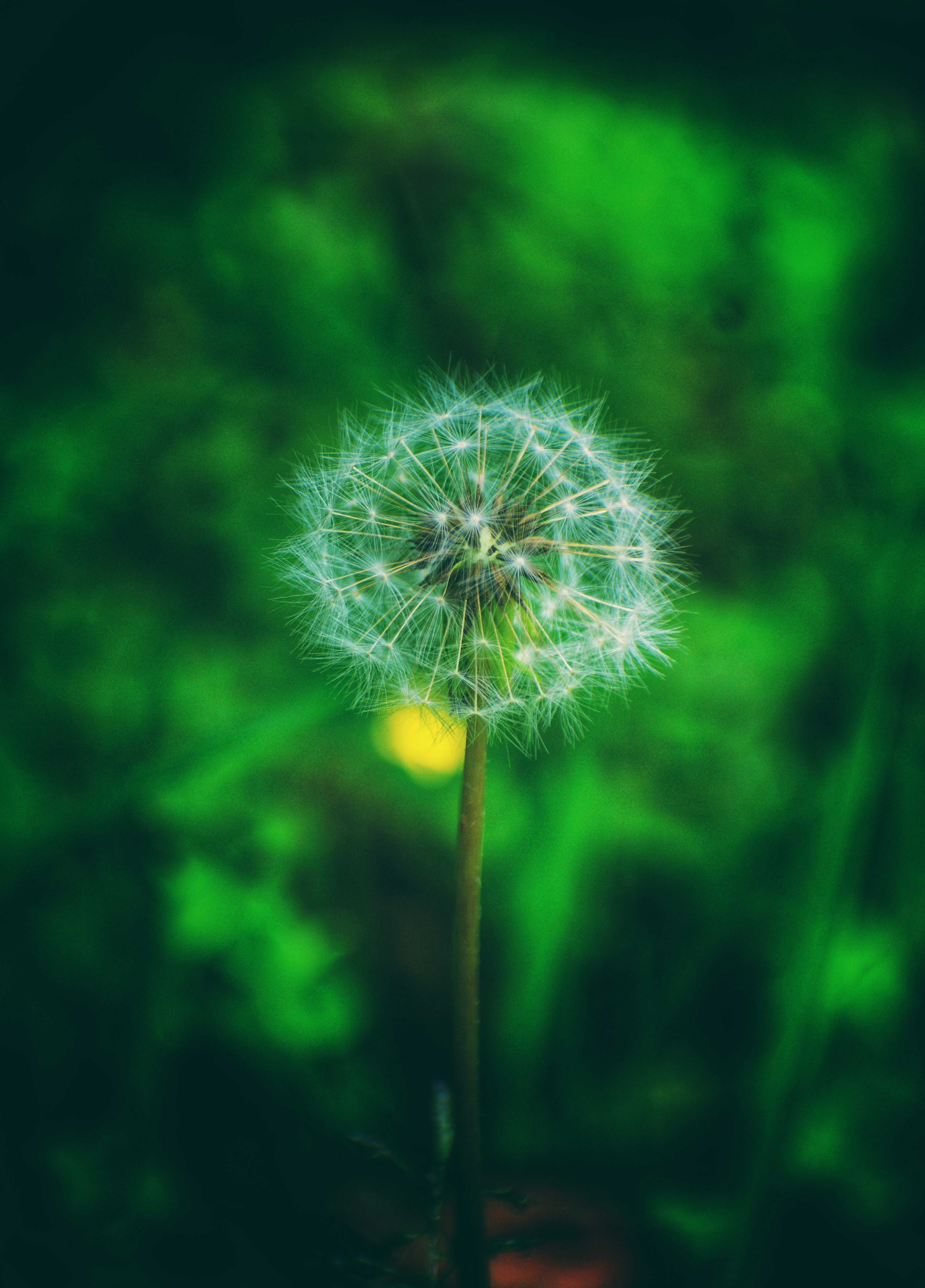 Photo by gautham1611