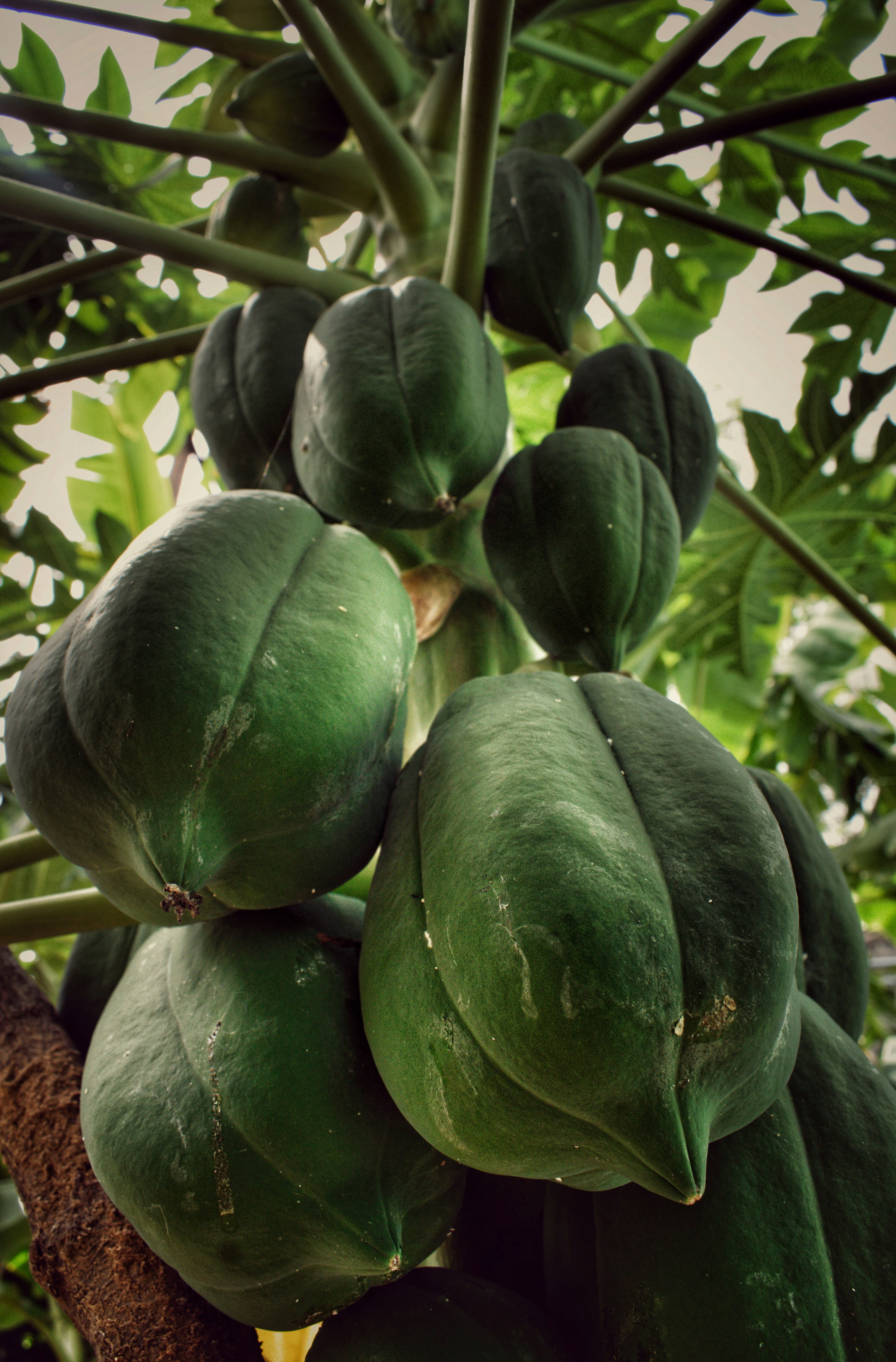 Photo by gautham1611