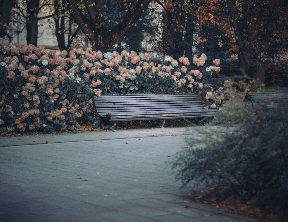 a bench sits unoccupied