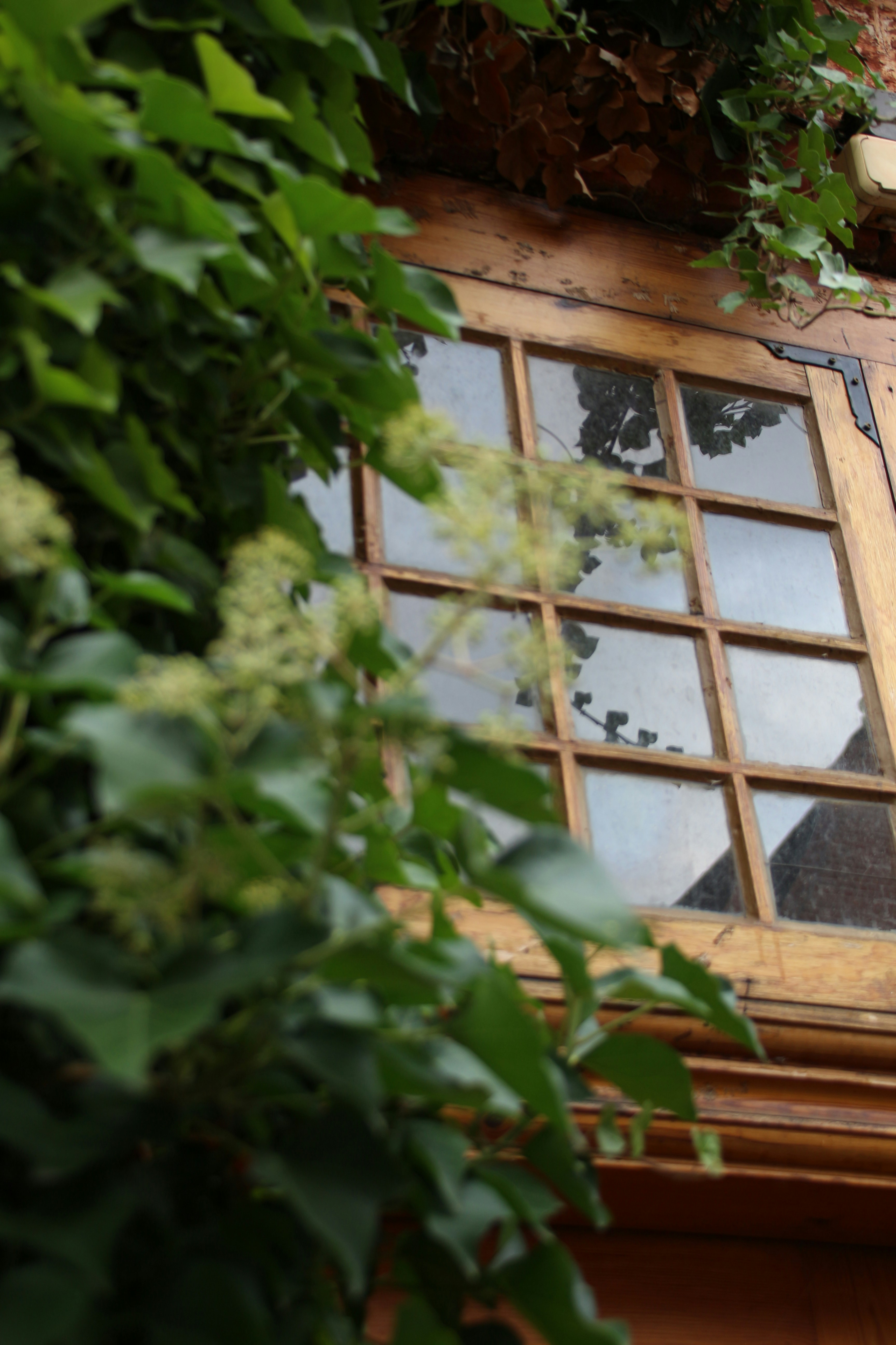 Photo by klarin_steffens