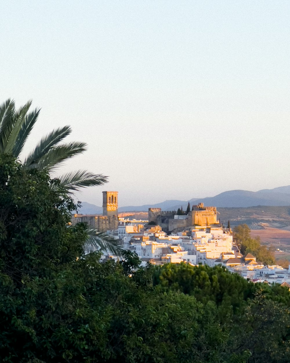 a city with many buildings