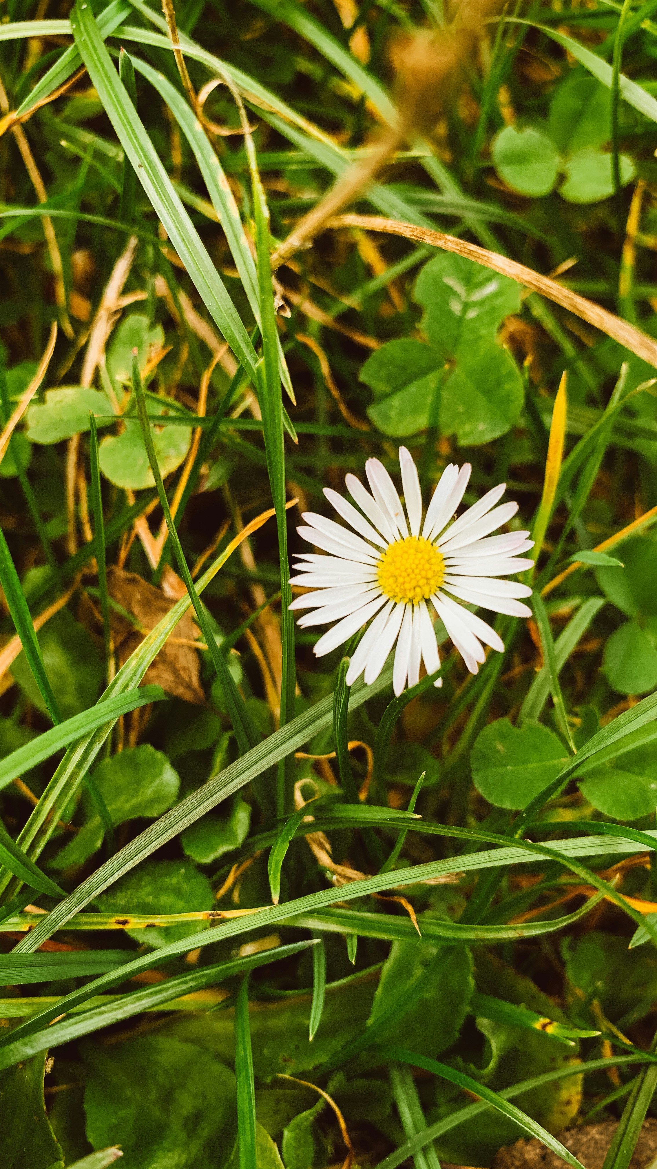 Photo by anny_happy_pie