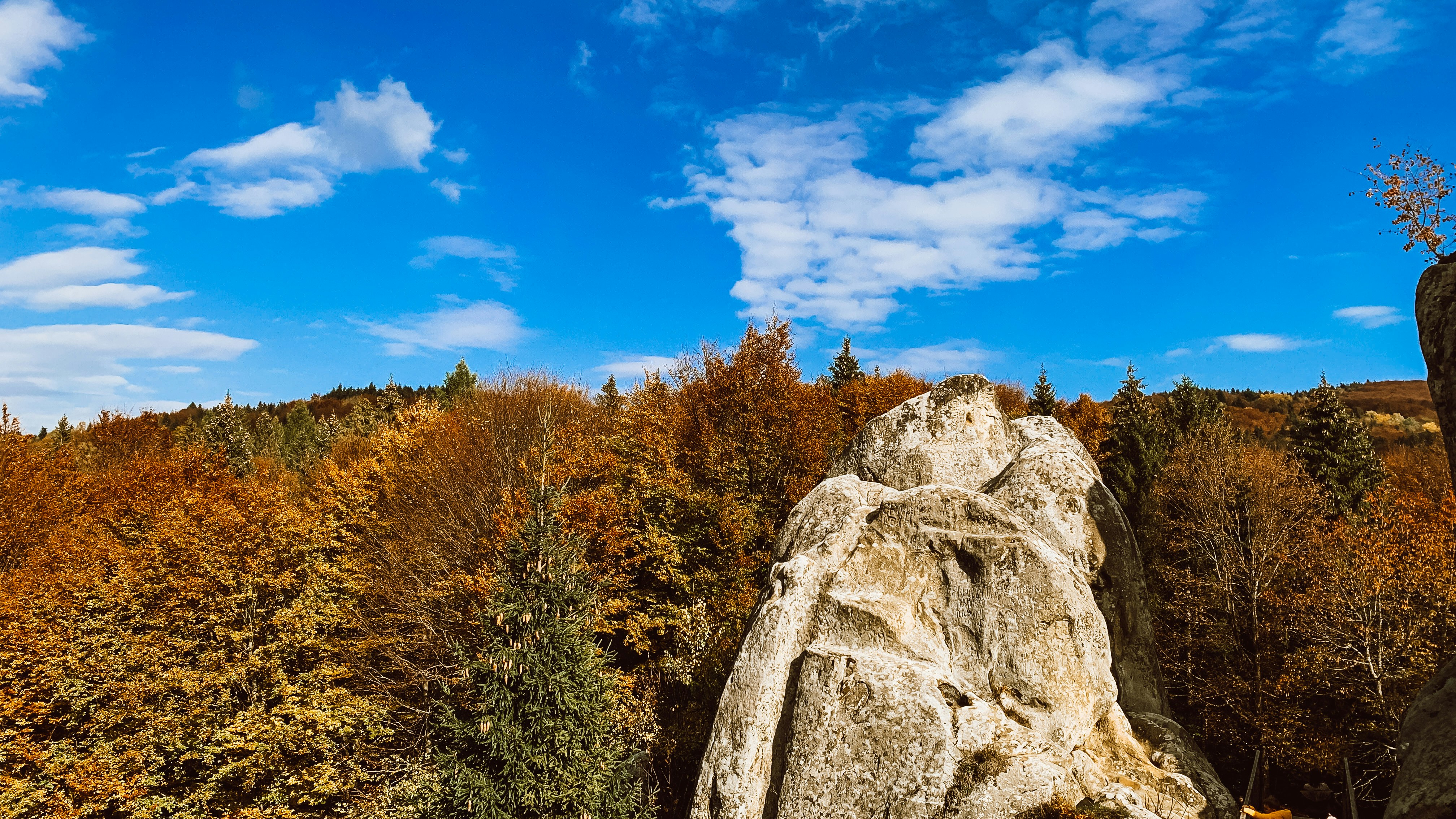 Photo by anny_happy_pie